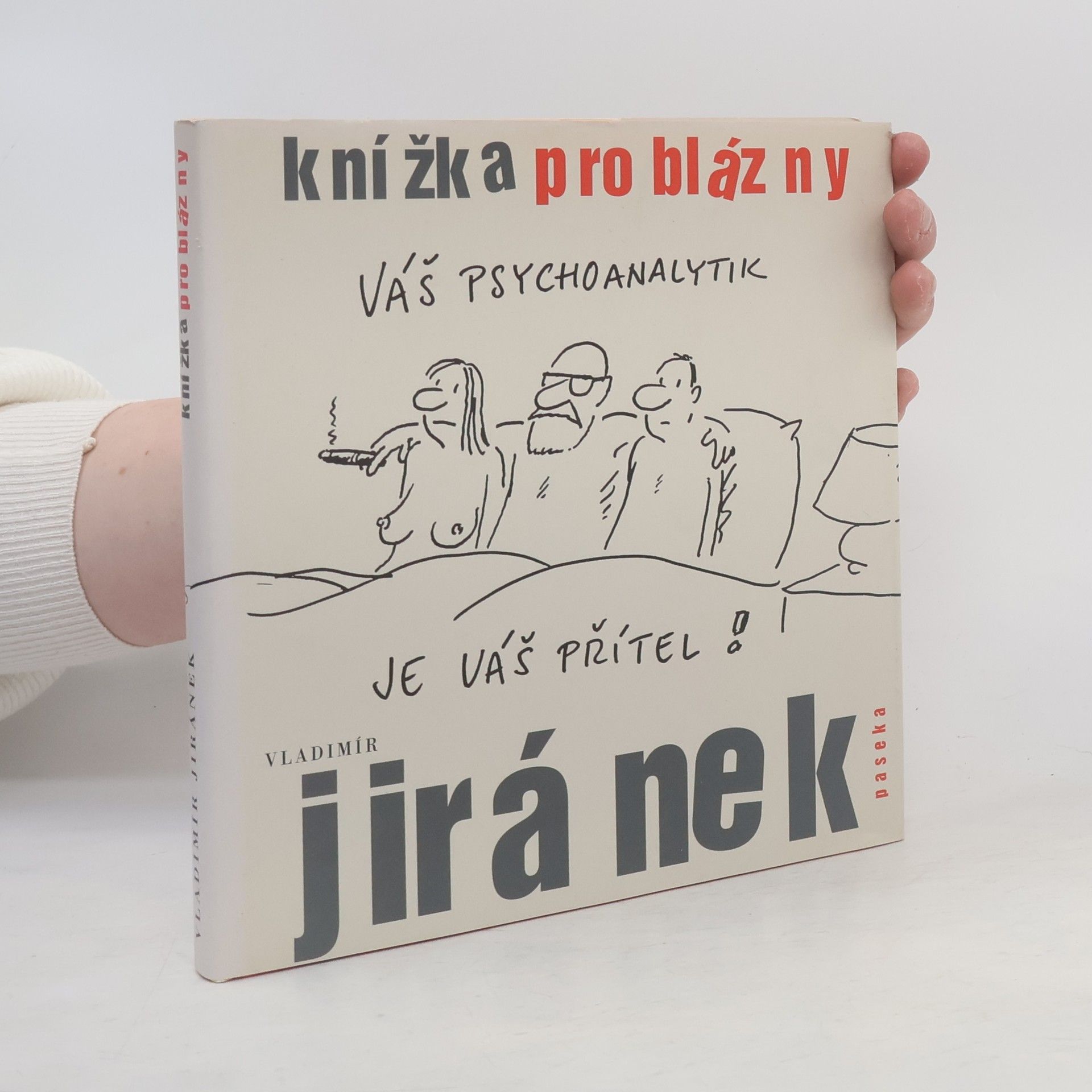 Knížka pro blázny