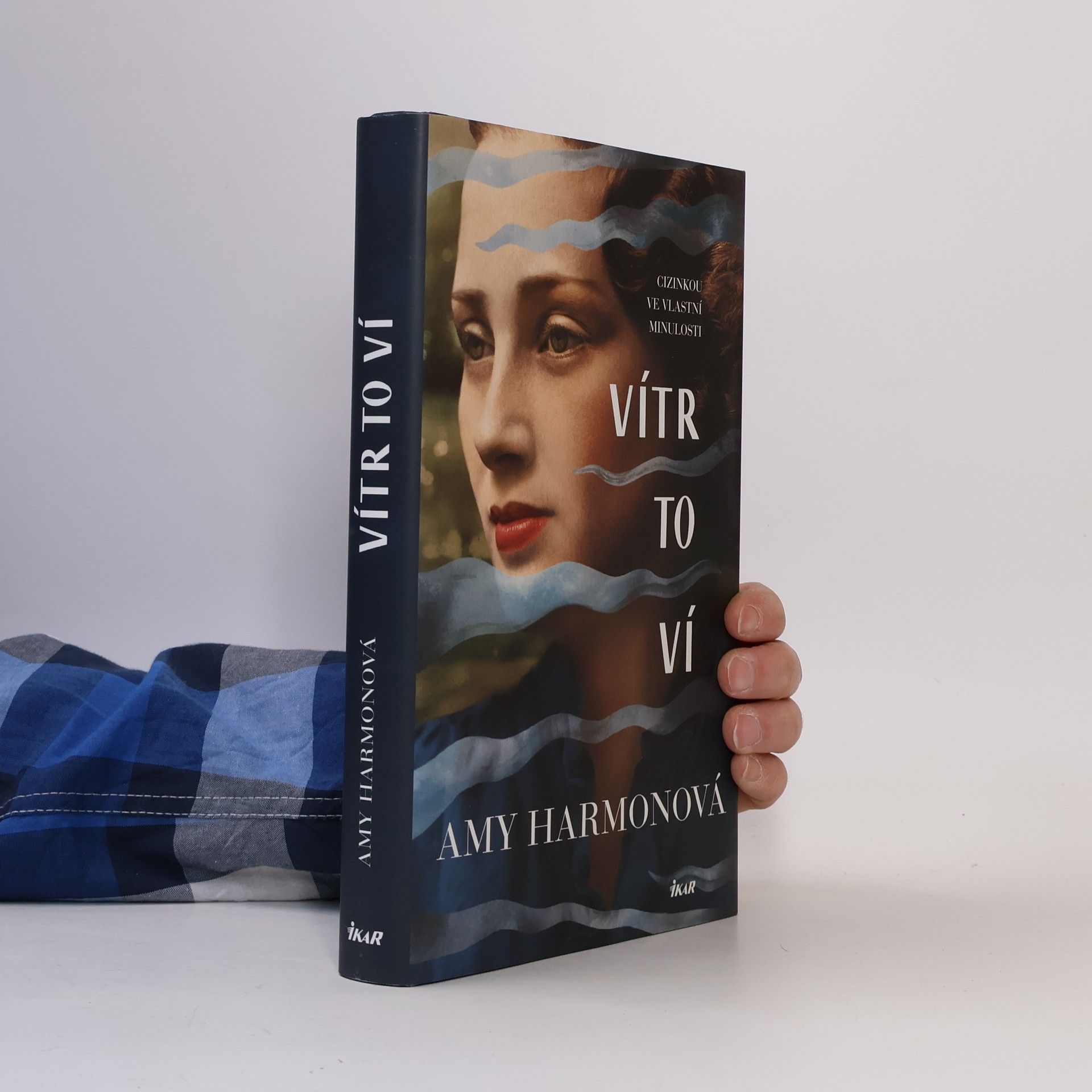 Amy Harmon Vítr to ví