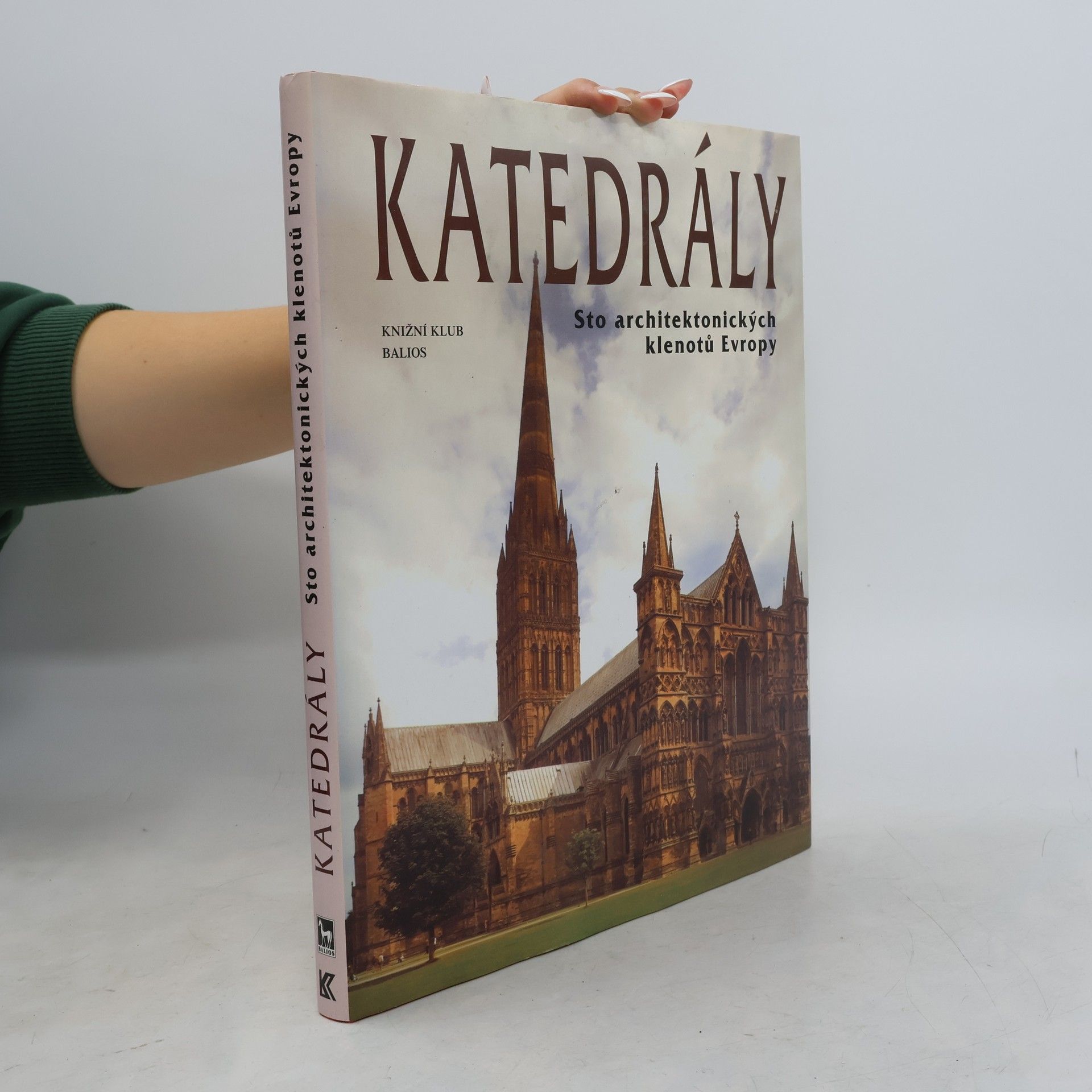 Josef Matějů Katedrály : sto architektonických klenotů Evropy