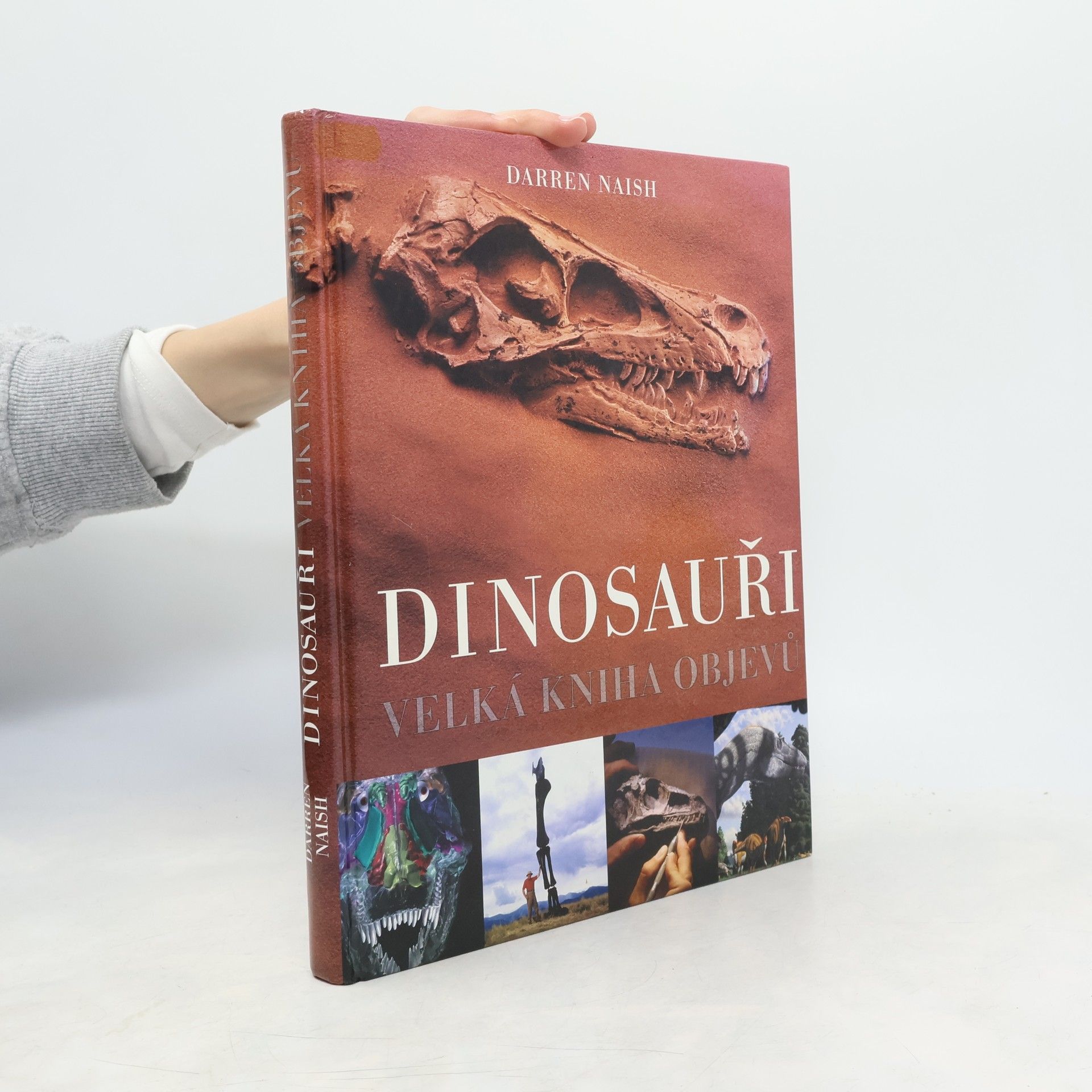 Darren Naish Dinosauři: Velká kniha objevů
