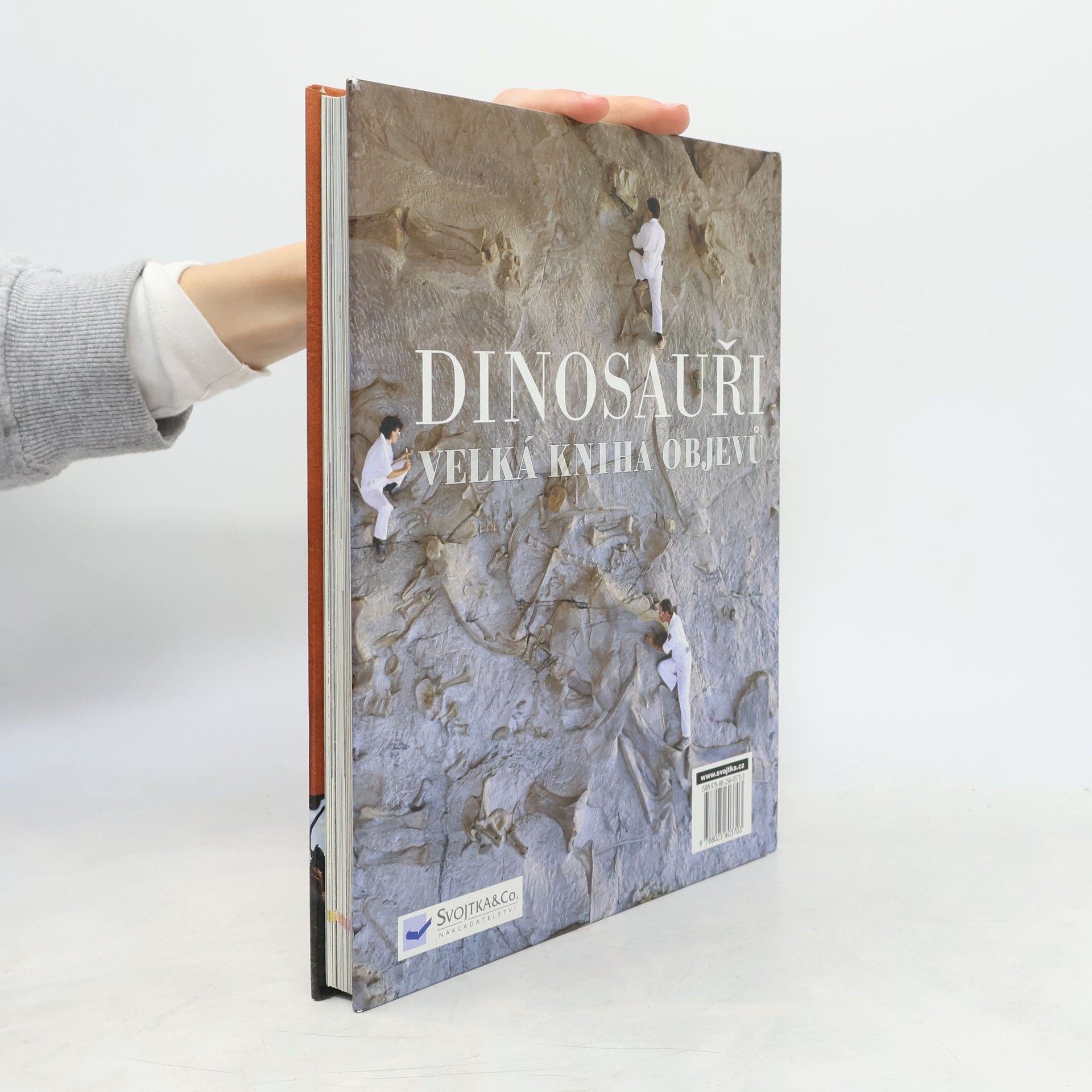 Darren Naish Dinosauři: Velká kniha objevů