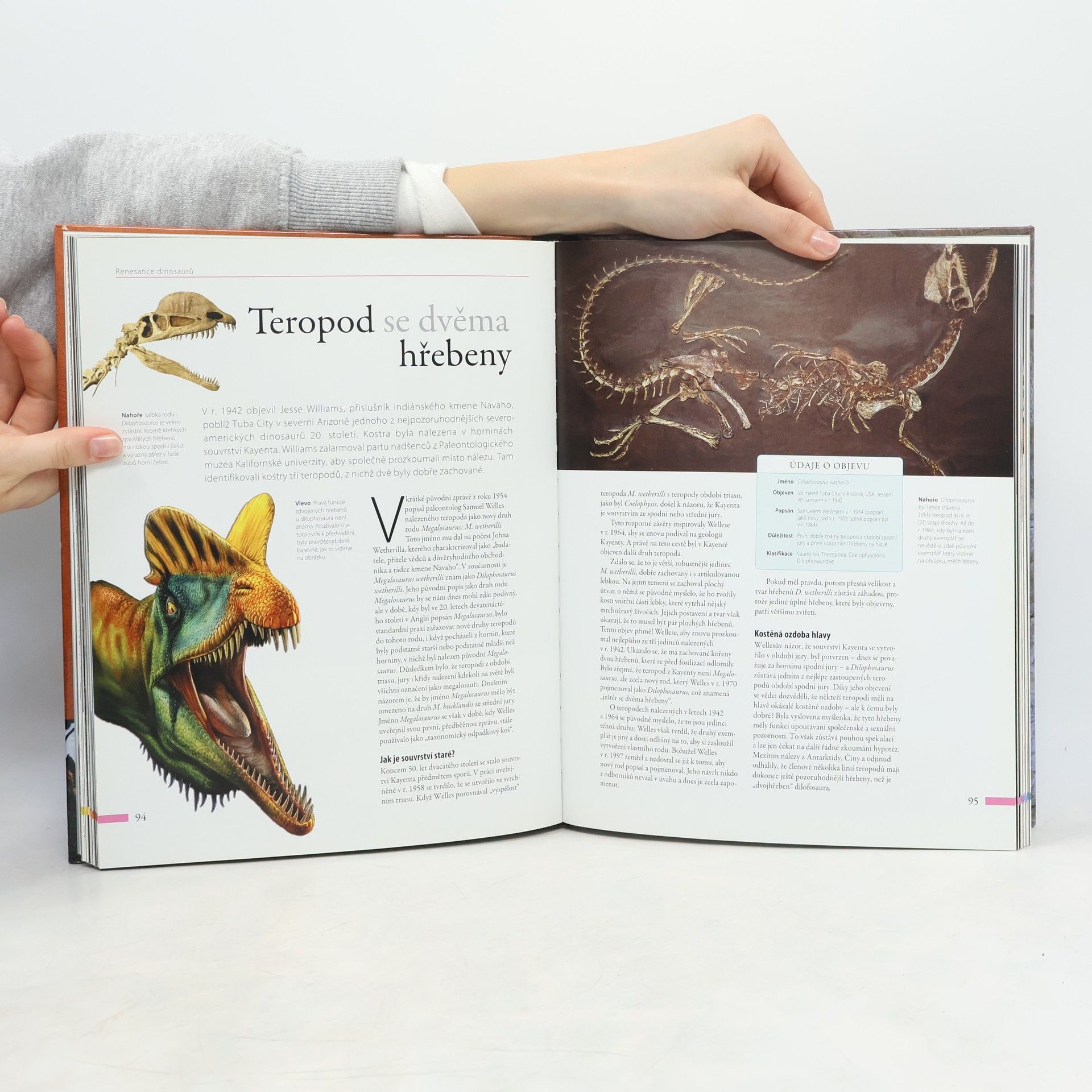 Darren Naish Dinosauři: Velká kniha objevů