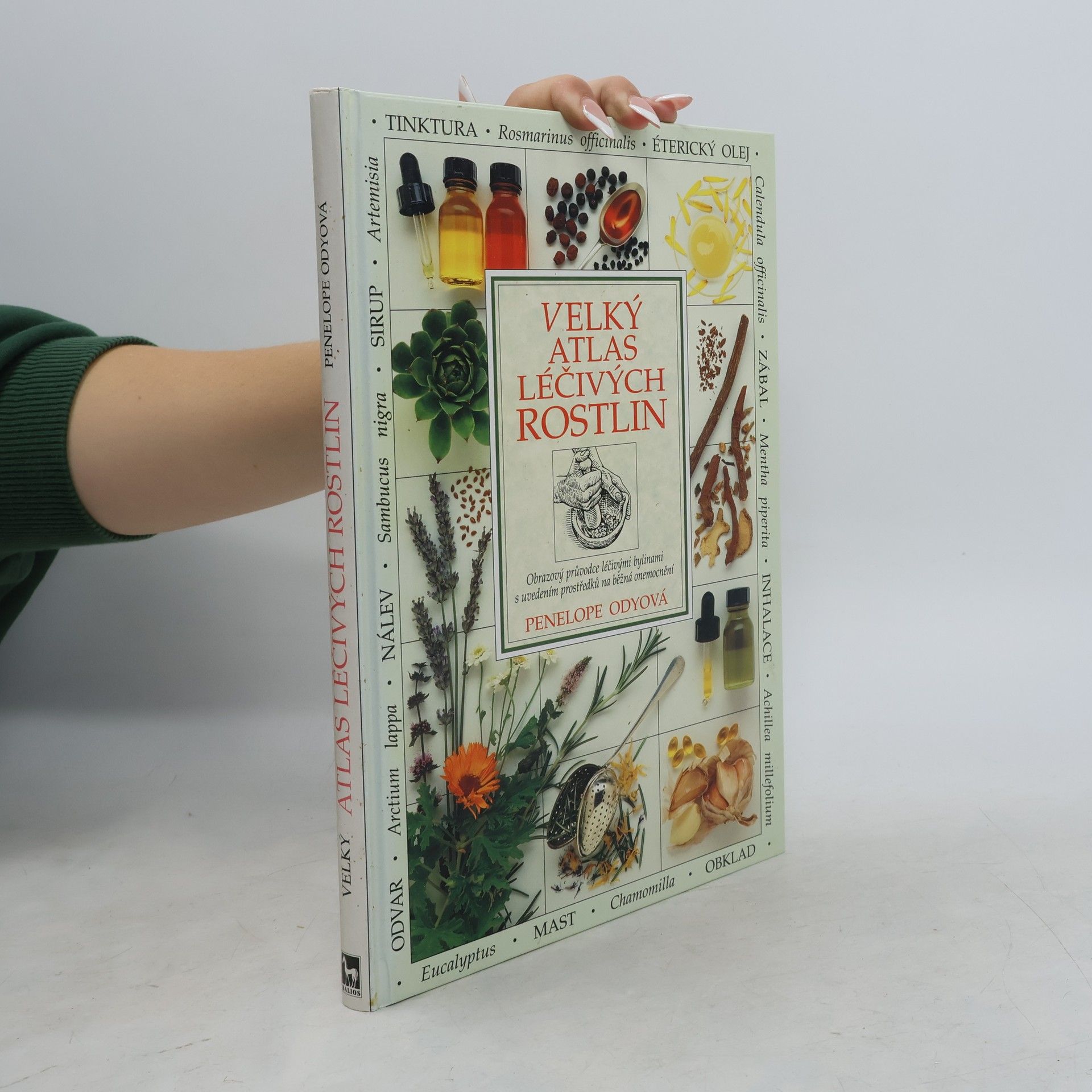 Penelope Ody Velký atlas léčivých rostlin
