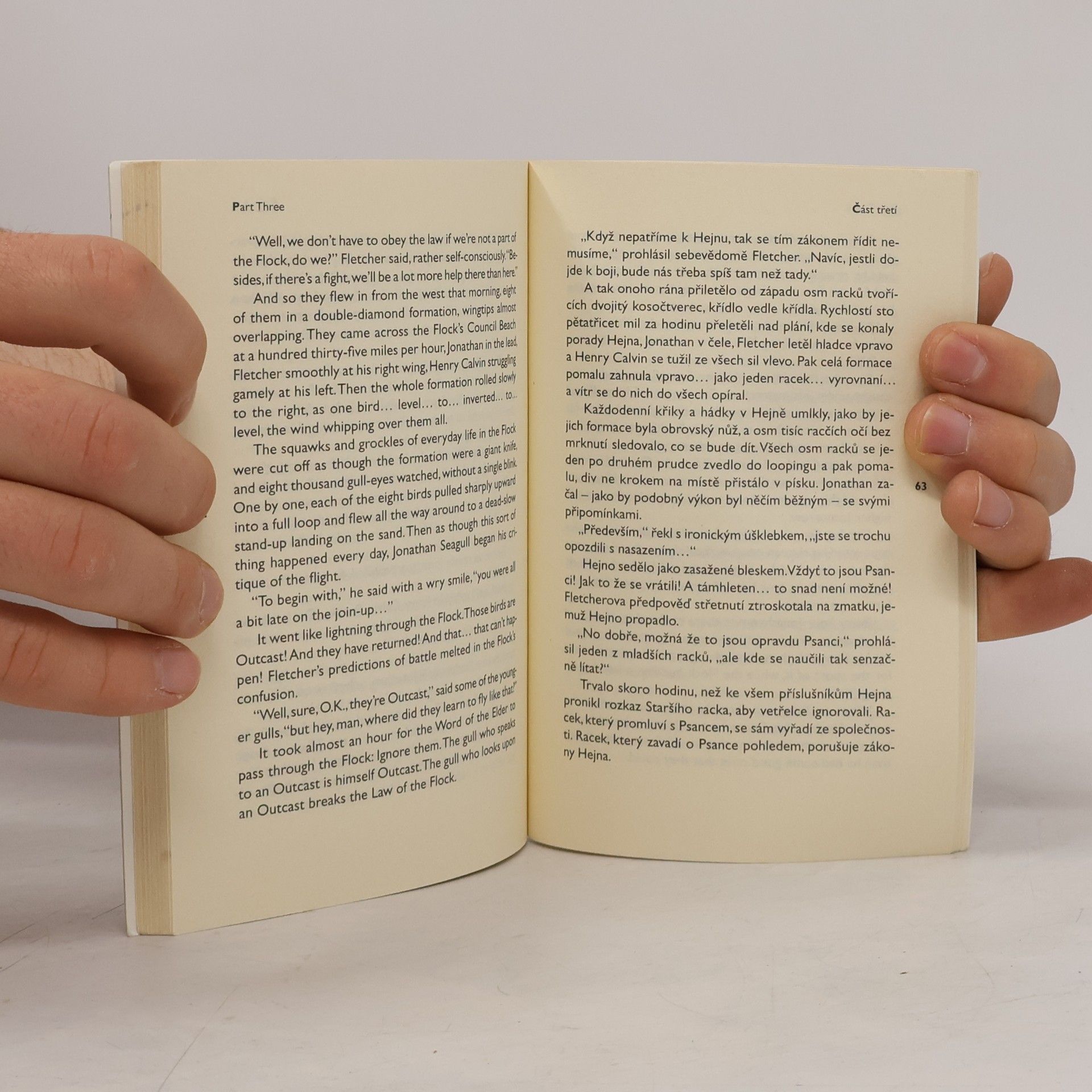 Richard Bach Racek/Seagull