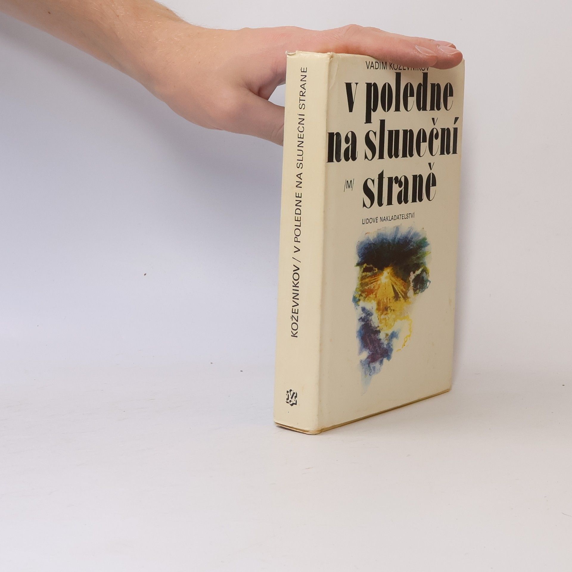 Koževnikov Vadim V poledne na sluneční straně