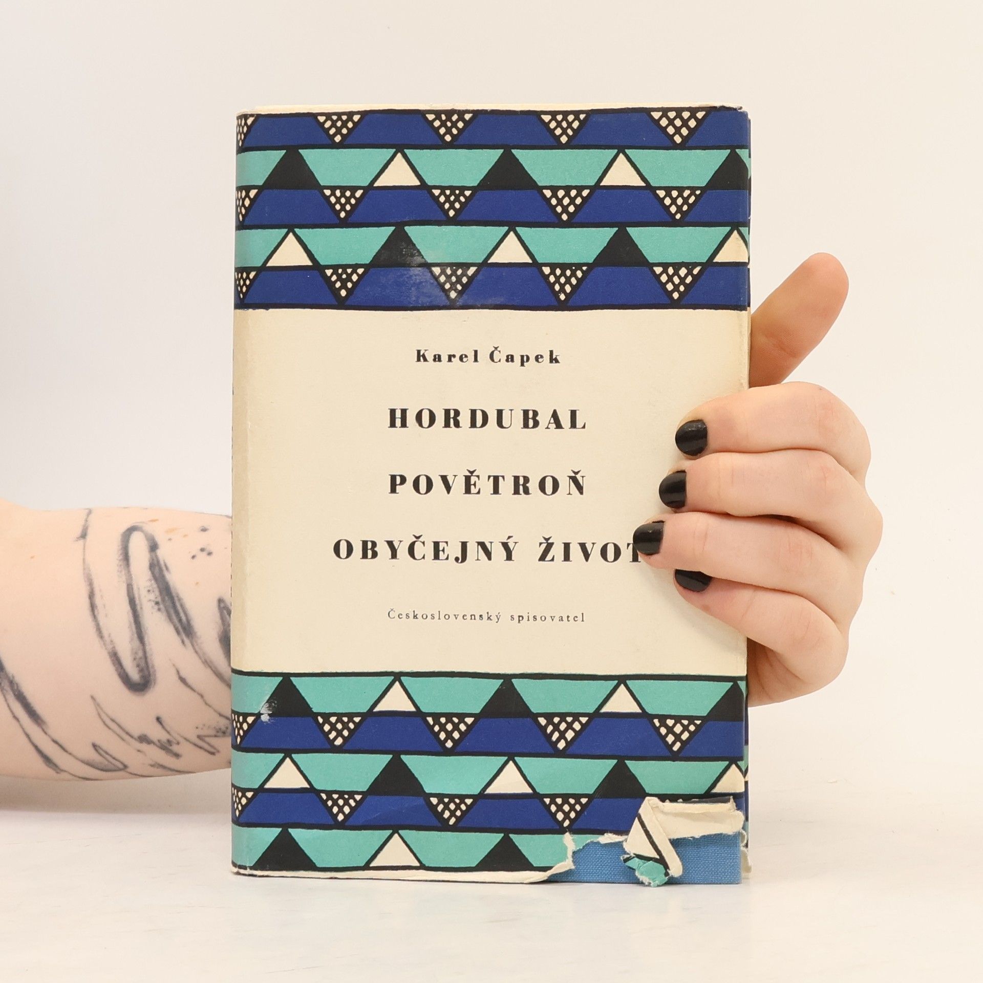 Karel Čapek Dílo bratří Čapků. Hordubal. Povětroň. Obyčejný život