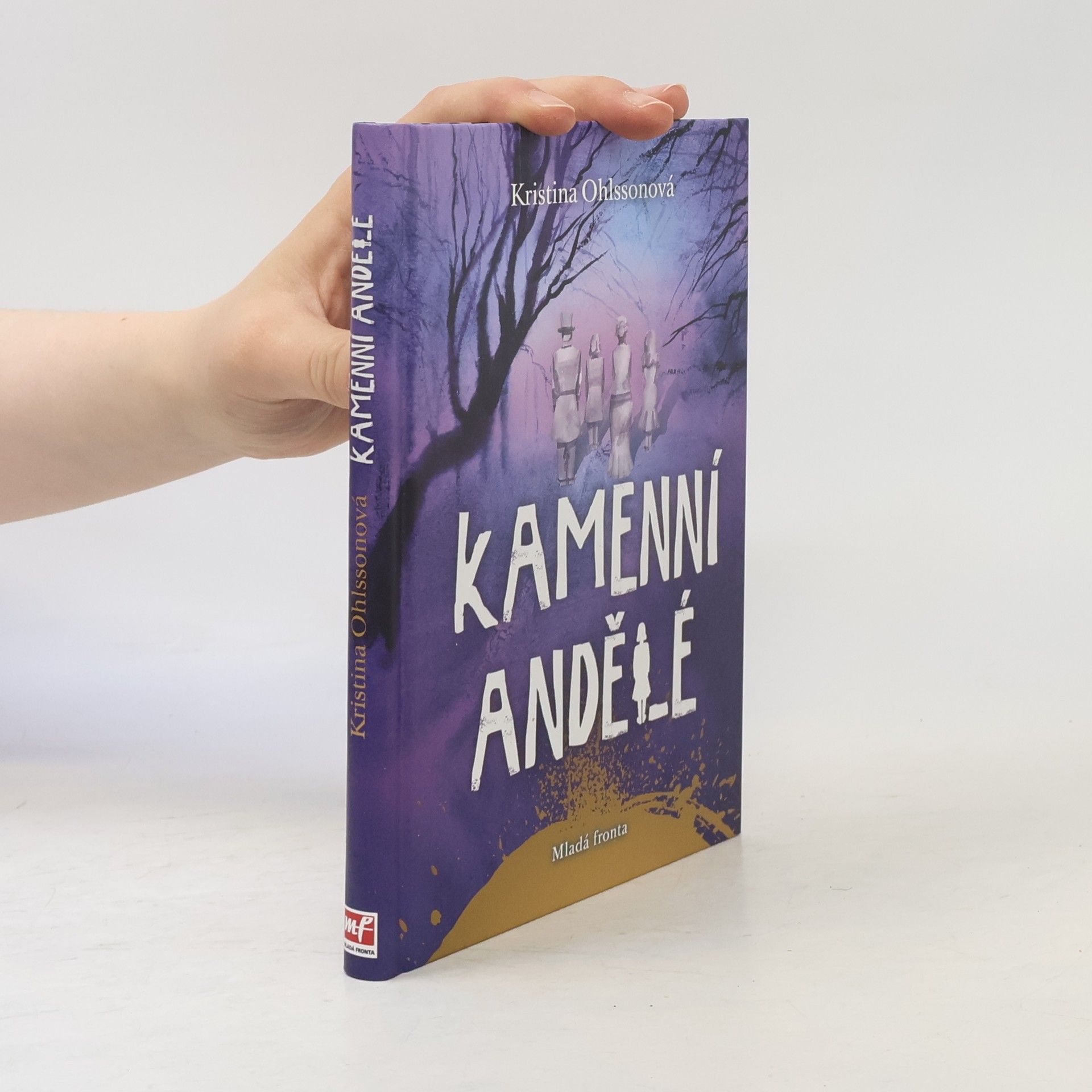 Kristina Ohlsson Kamenní andělé