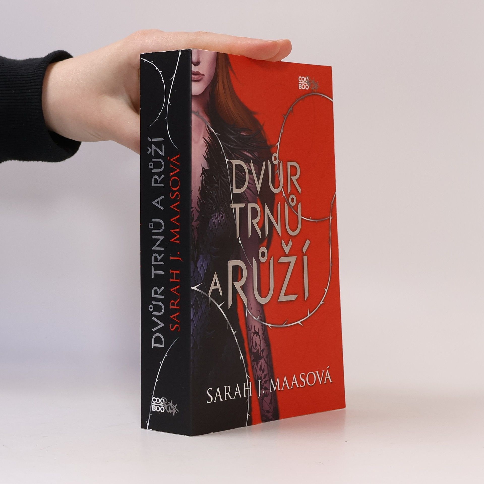 Sarah J. Maasová Dvůr trnů a růží