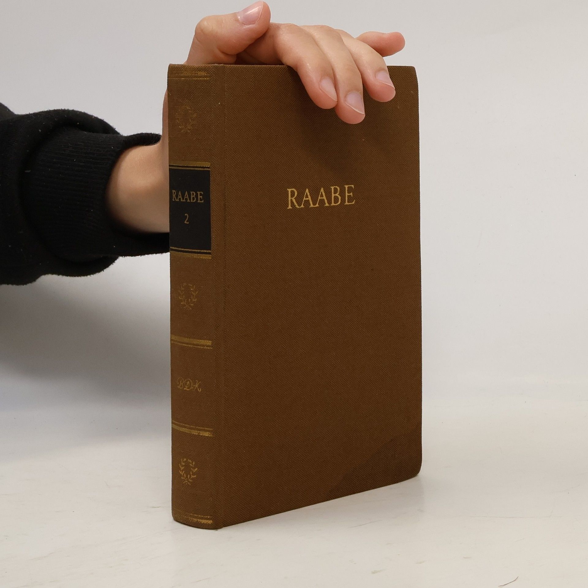 Kolektiv autorů Raabe 2