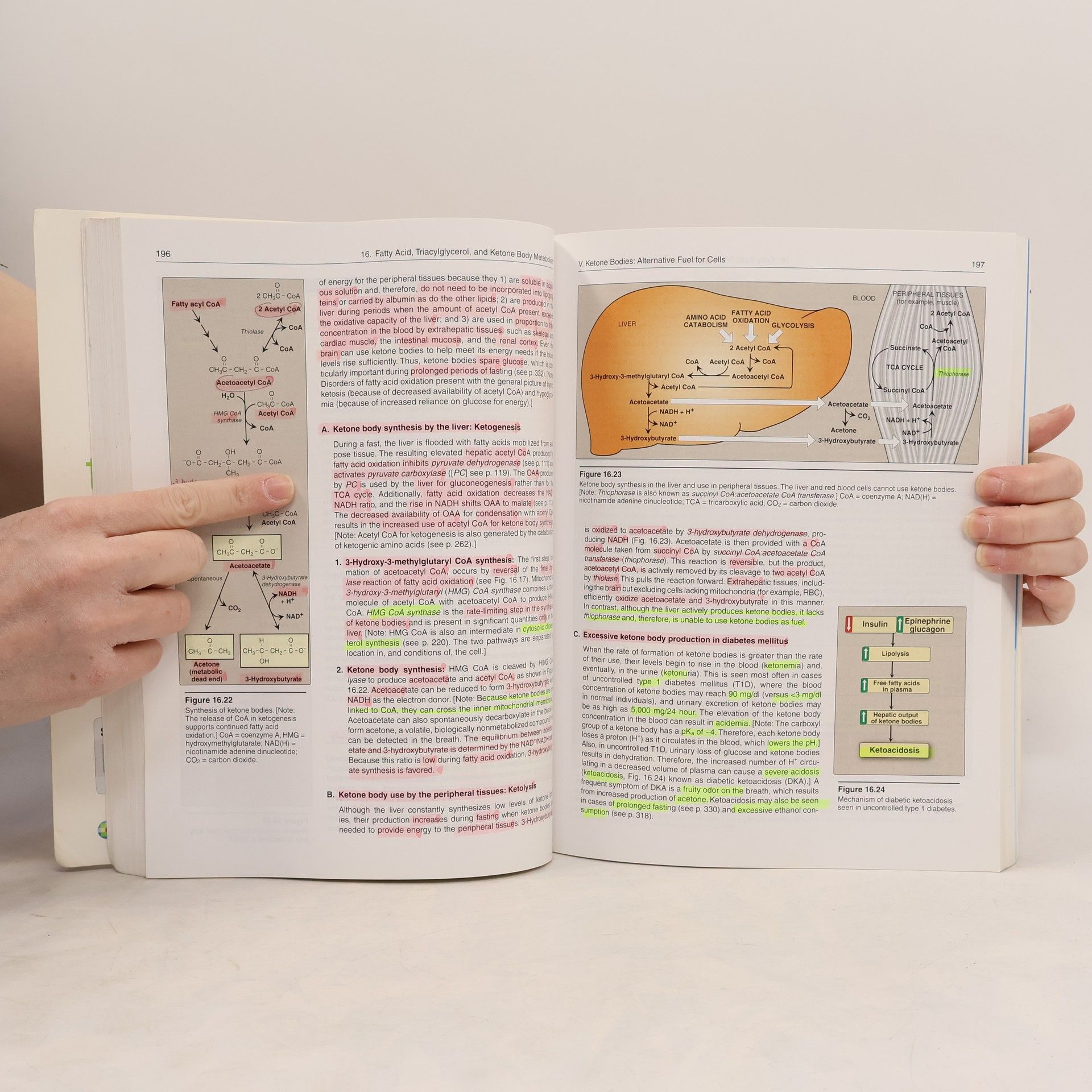 Denise R Ferrier Biochemistry
