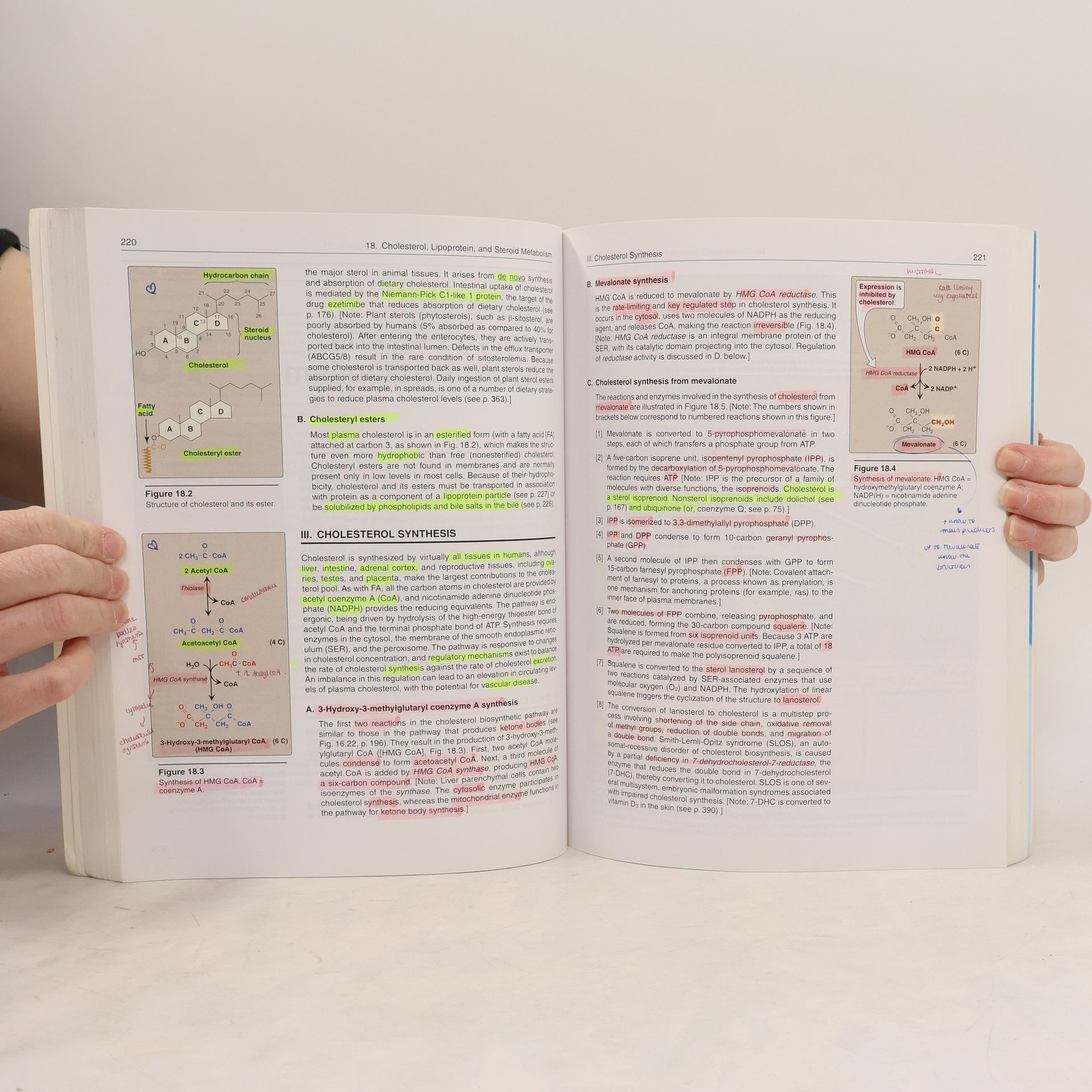 Denise R Ferrier Biochemistry
