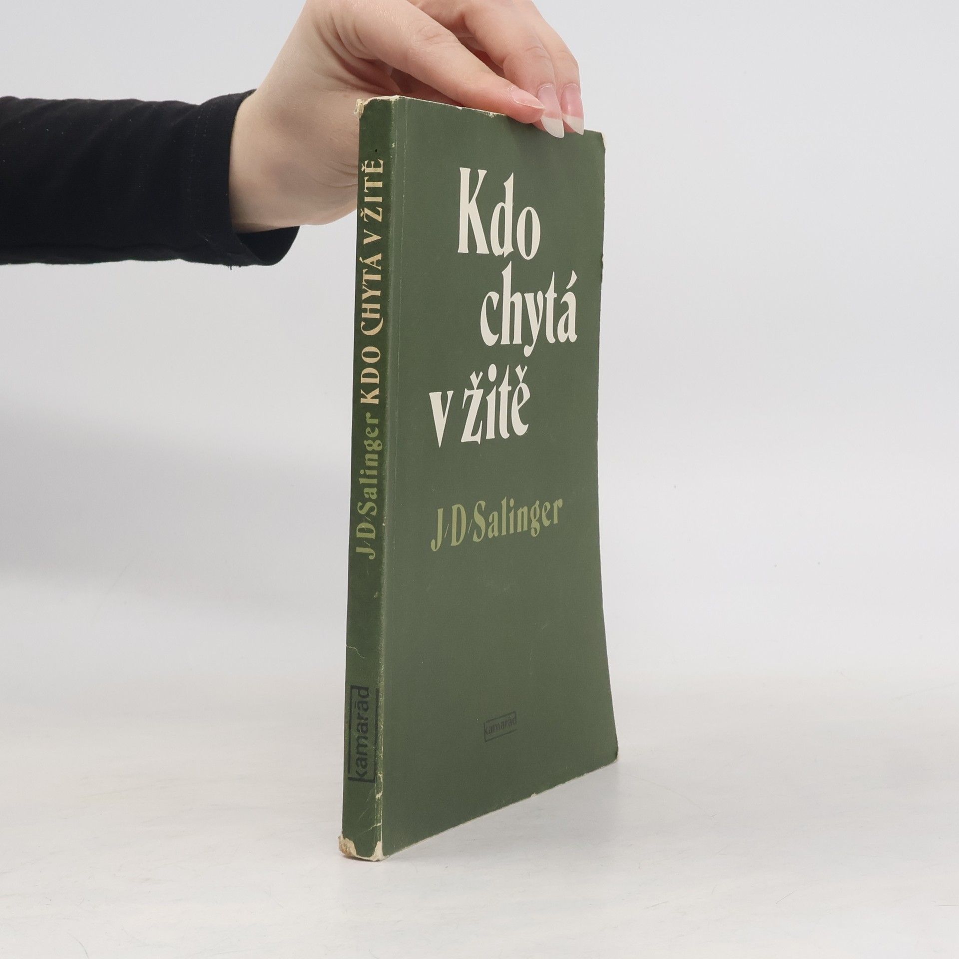 J. D. Salinger Kdo chytá v žitě