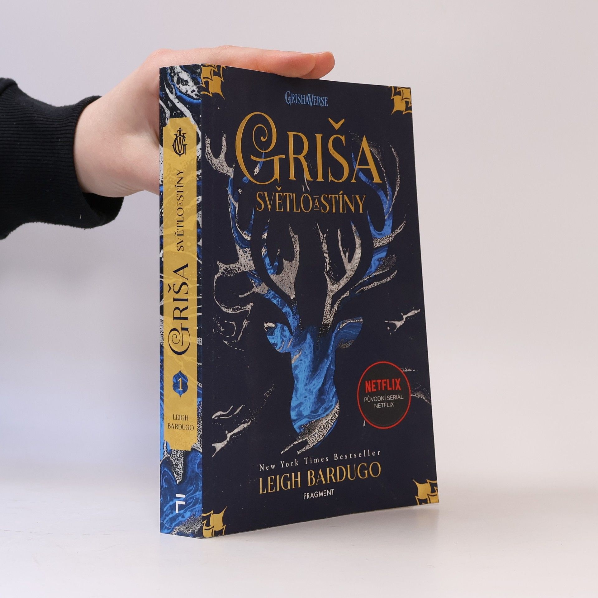 Leigh Bardugo Světlo a stíny