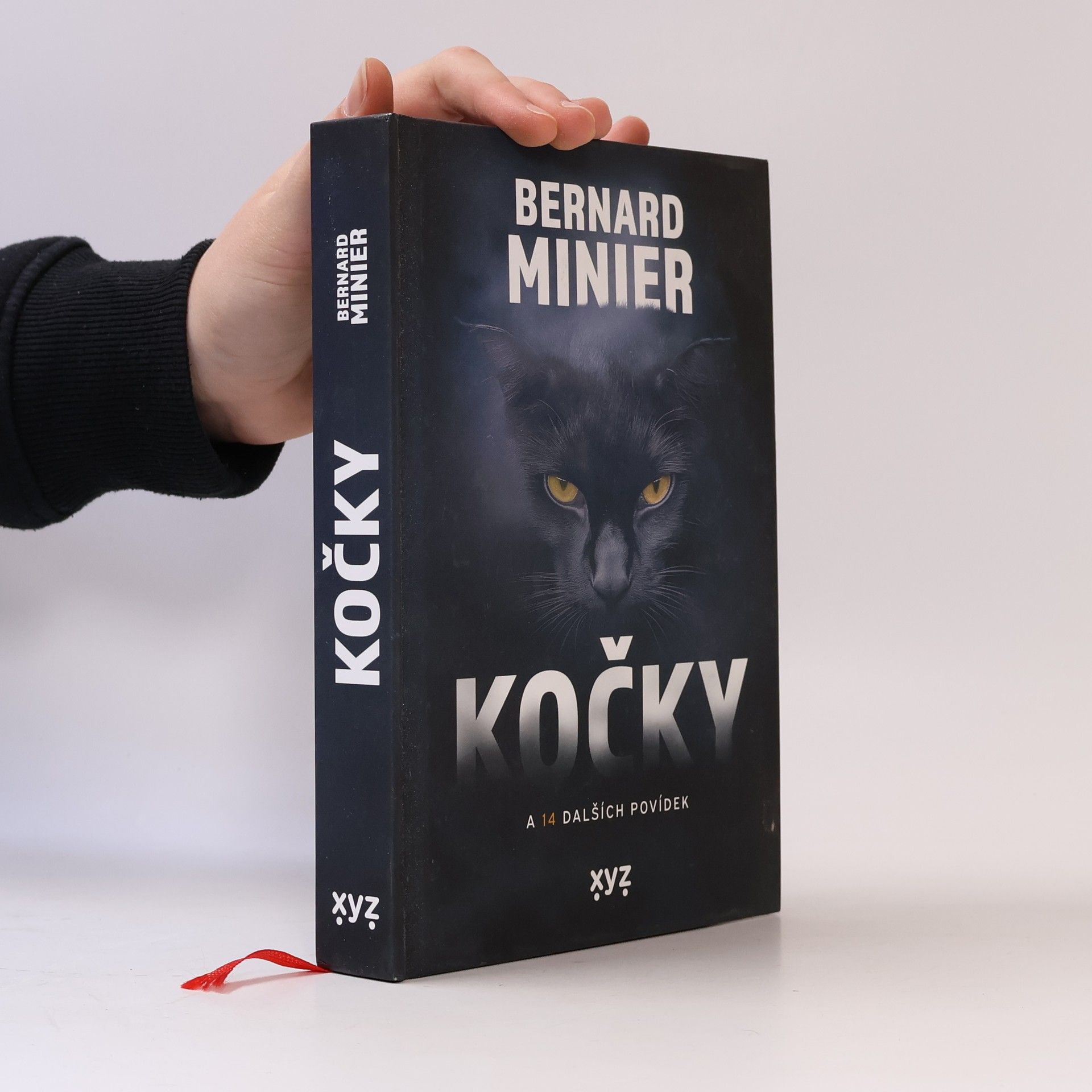 Bernard Minier Kočky