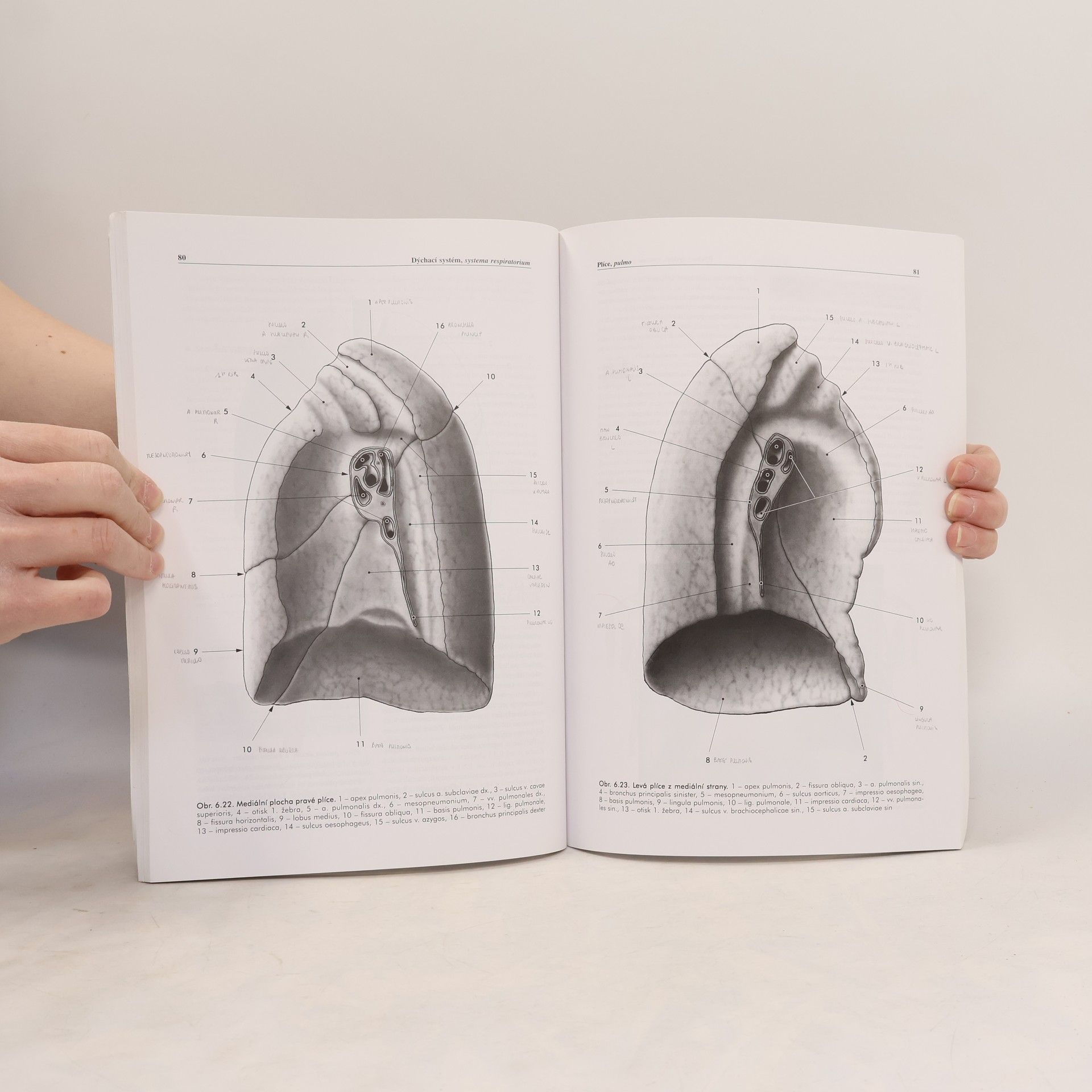Miloš Grim Základy anatomie 3. Trávicí, dýchací, močopohlavní a endokrinní systém