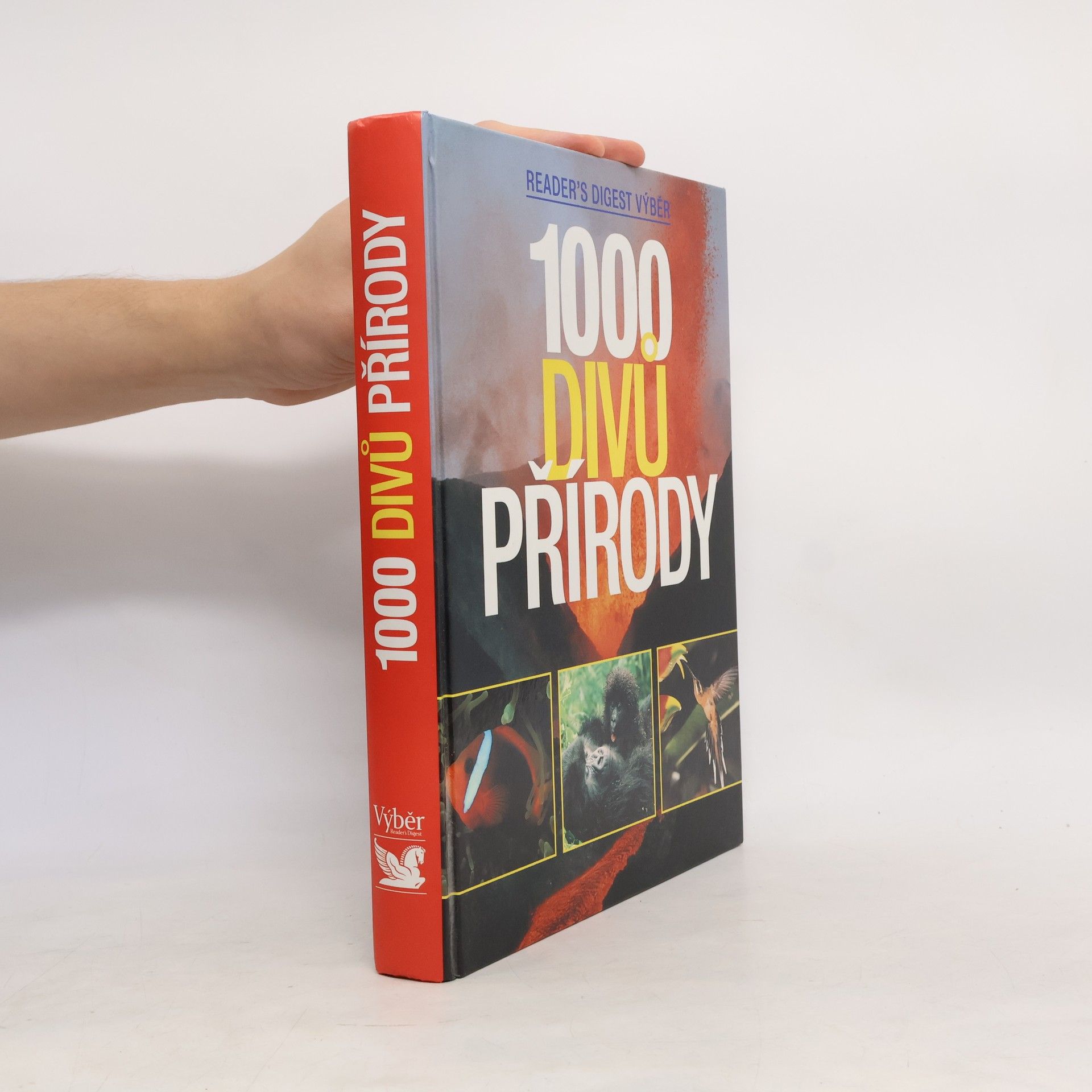 Autorenkollektiv 1000 divů přírody