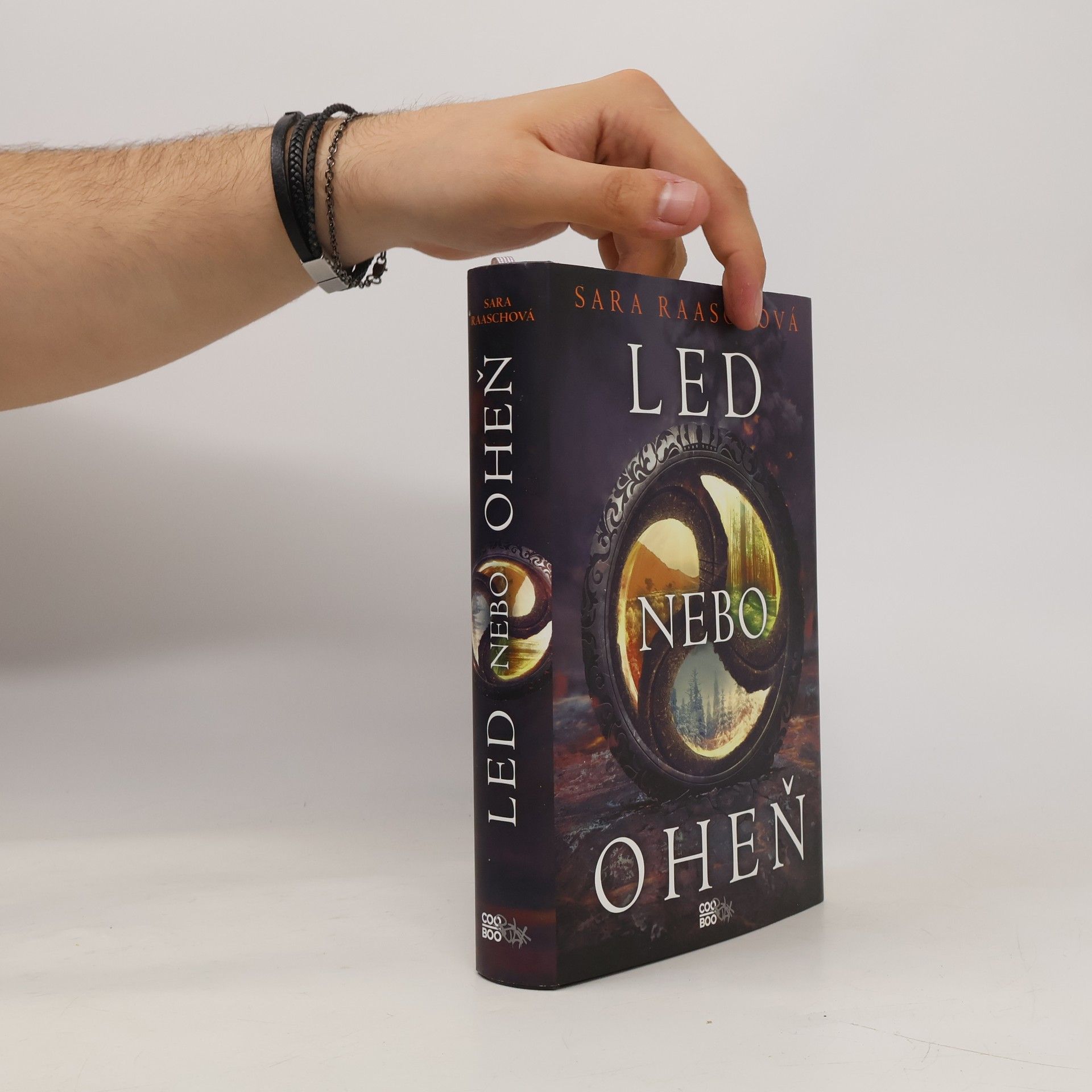 Sara Raash Led nebo oheň