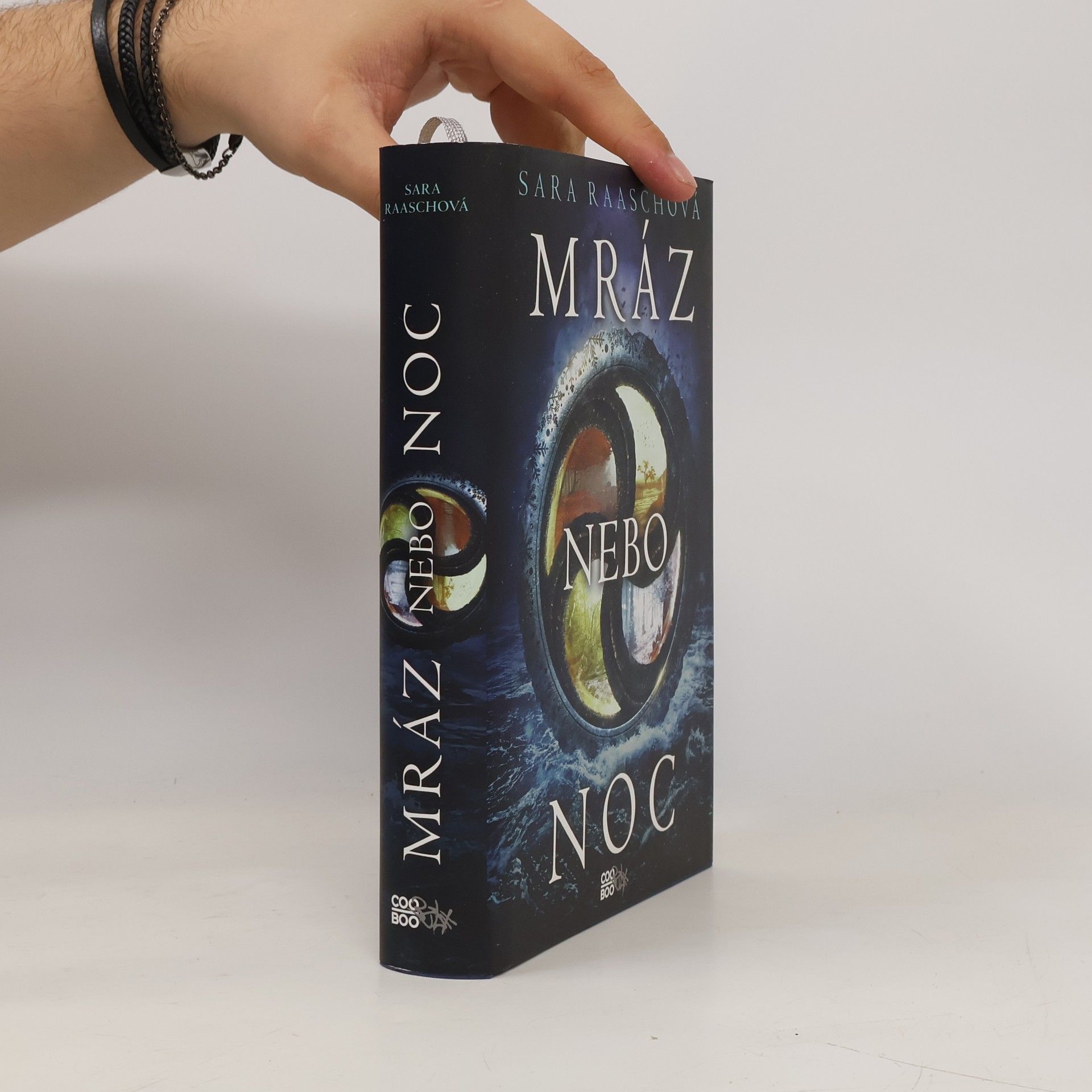 Sara Raasch Mráz nebo noc
