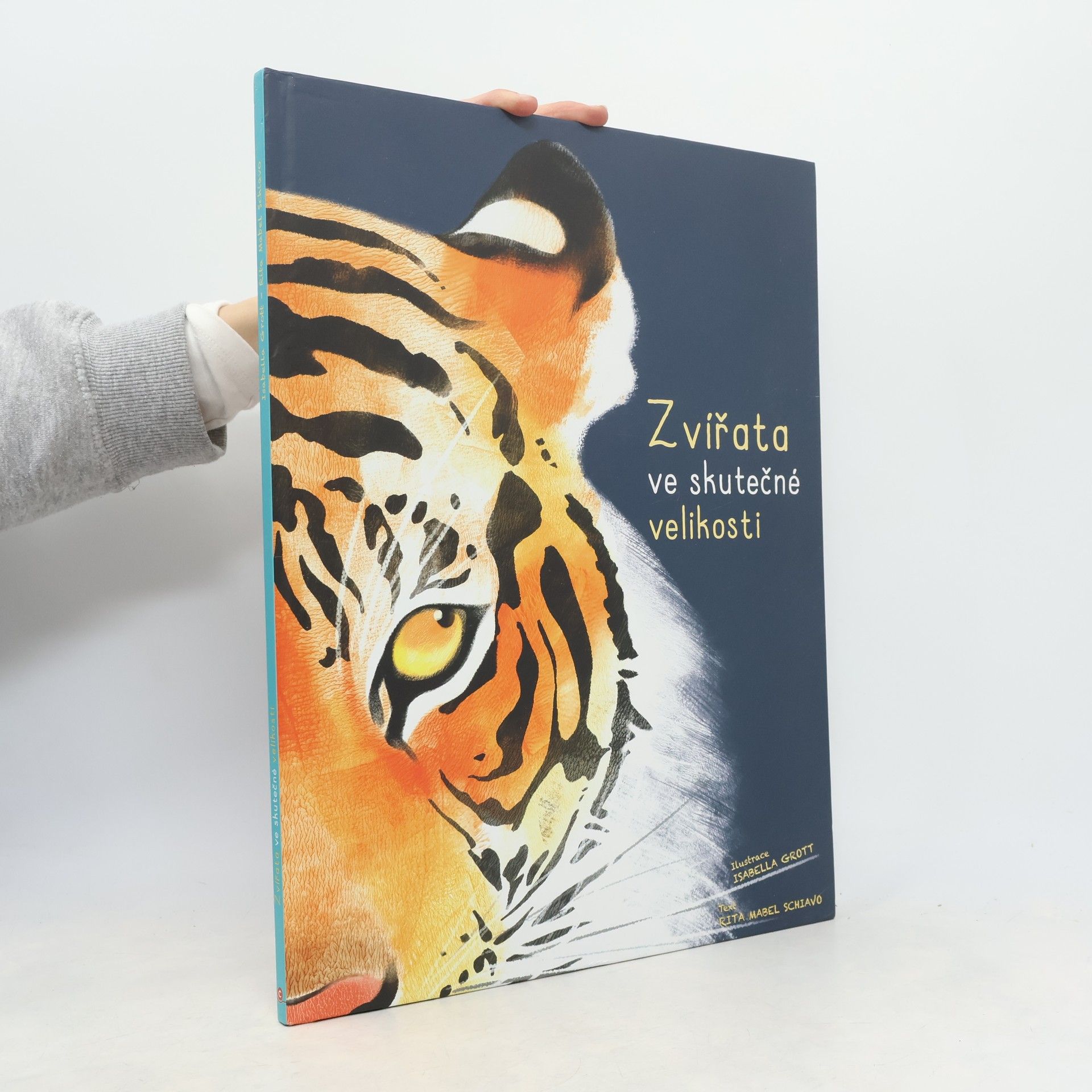 Rita Mabel Schiavo Zvířata ve skutečné velikosti