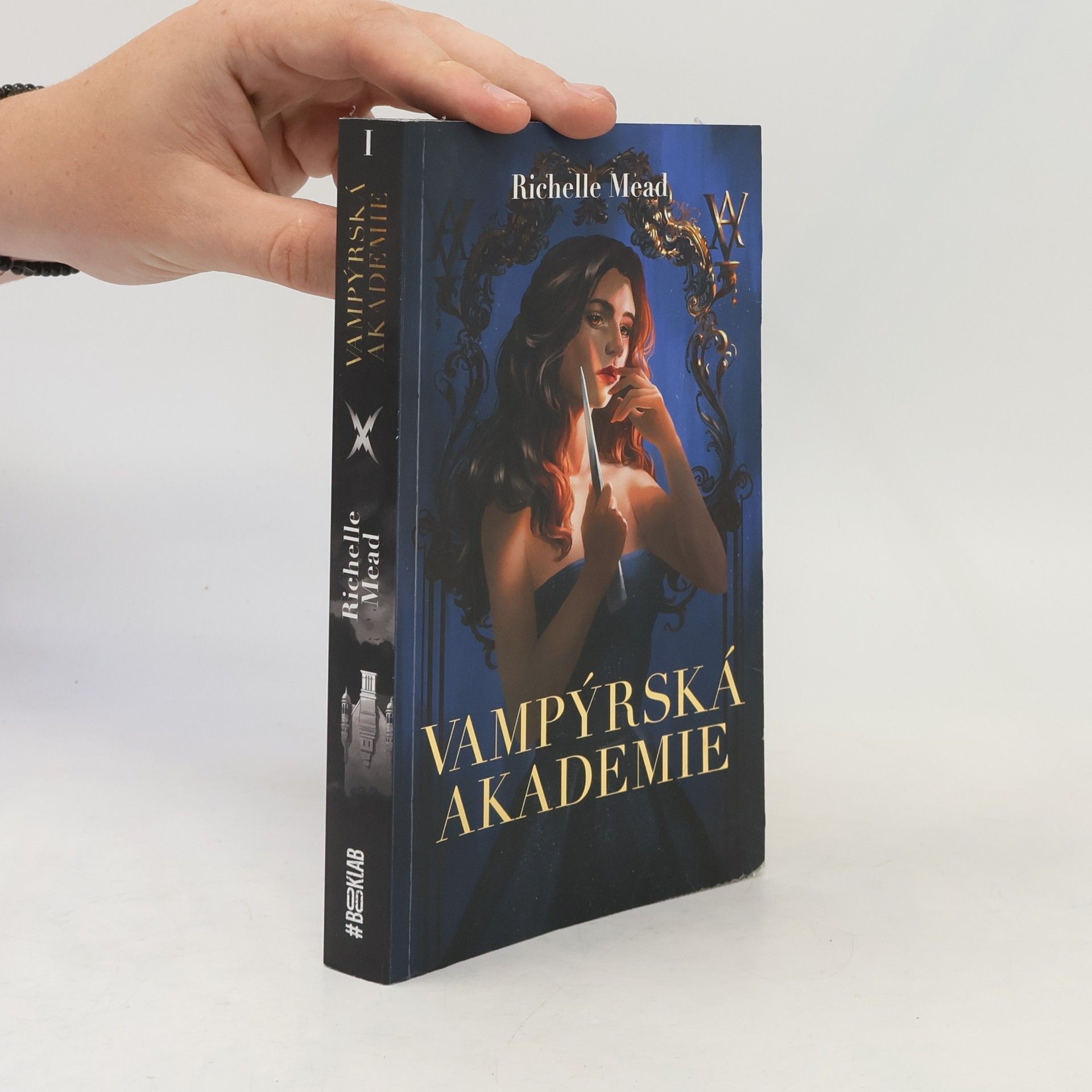 Richelle Mead Vampýrská akademie