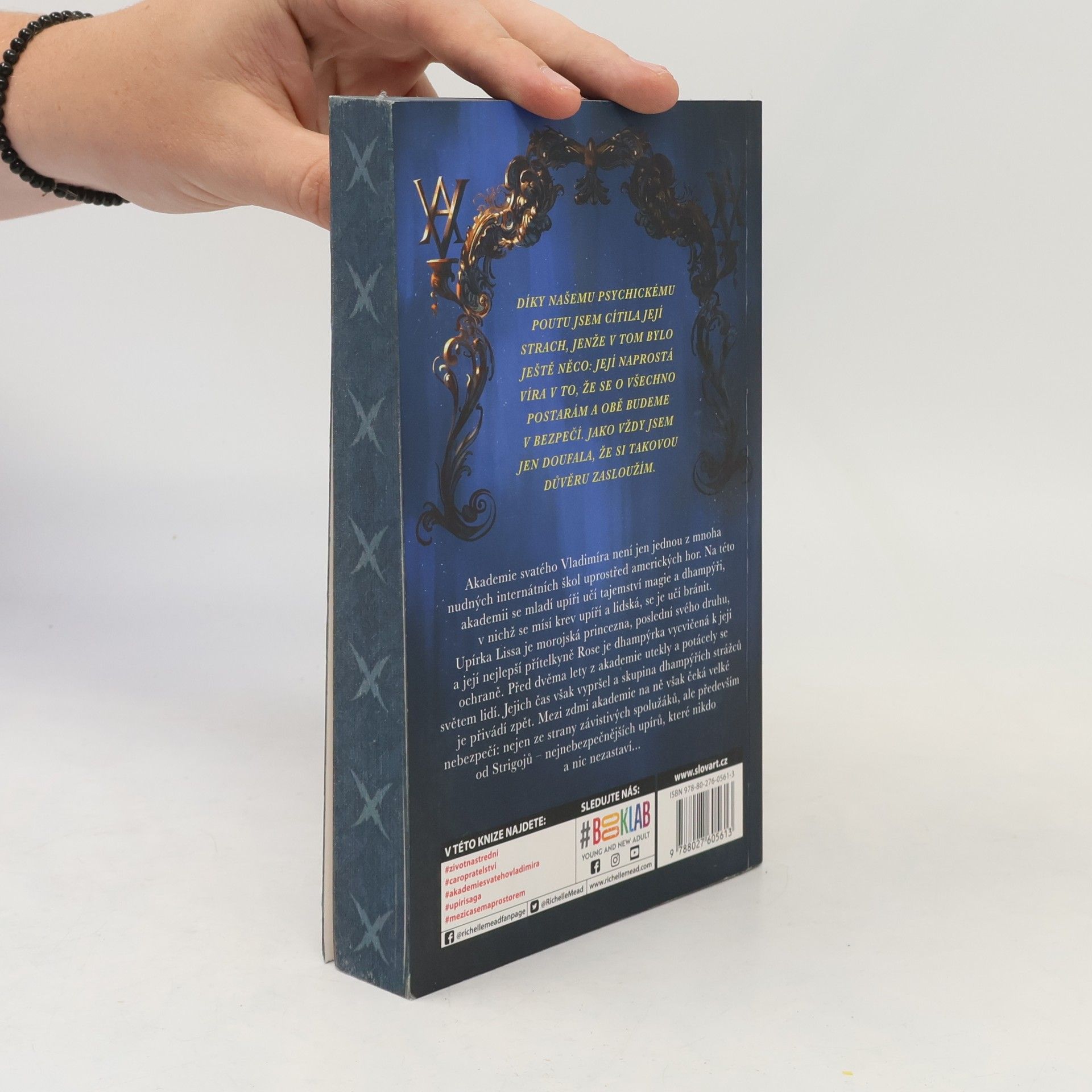 Richelle Mead Vampýrská akademie