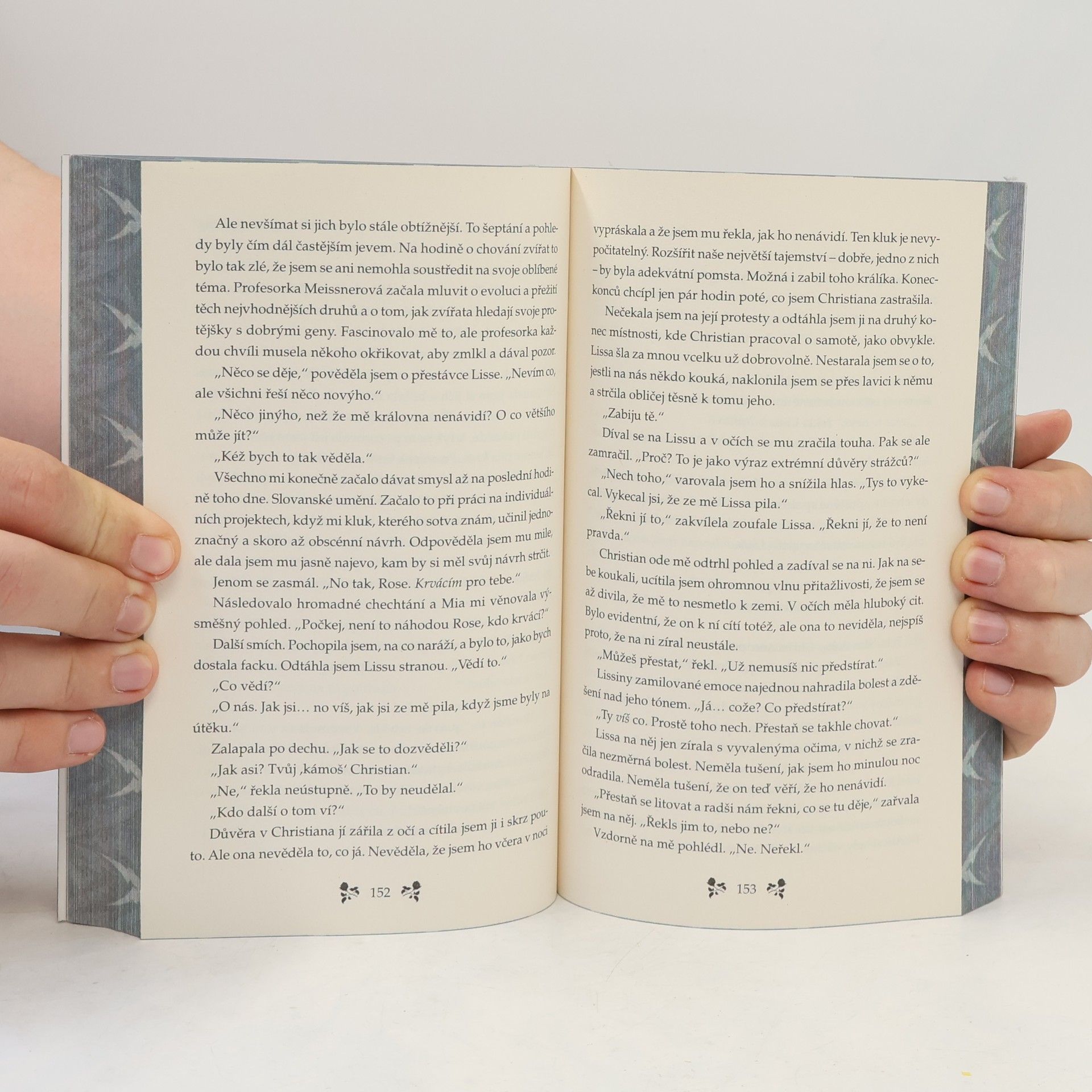 Richelle Mead Vampýrská akademie