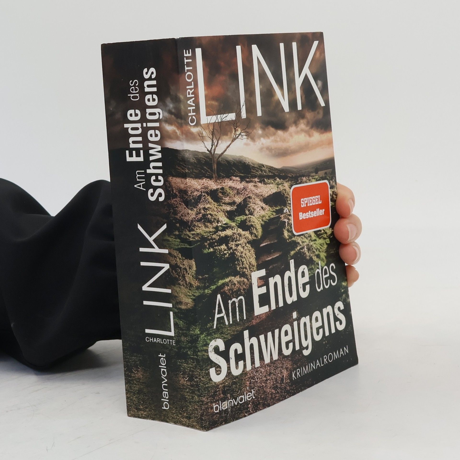 Charlotte Link Am Ende des Schweigens