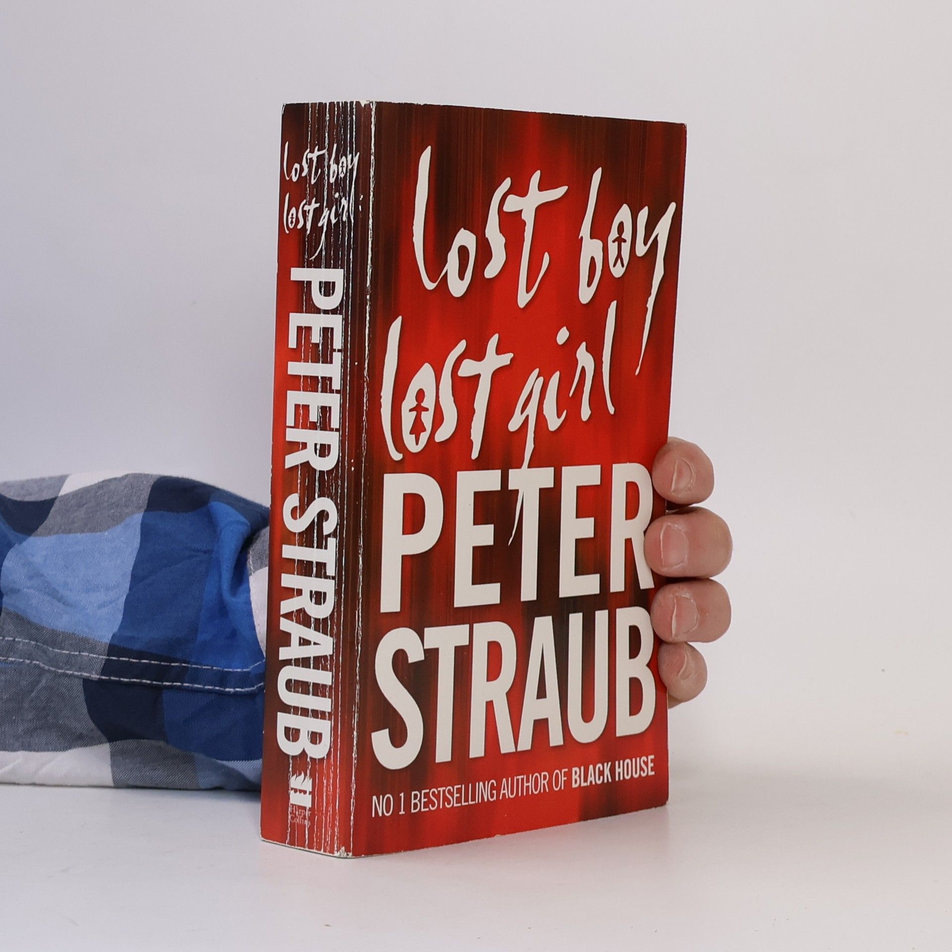 Peter Straub Lost Boy Lost Girl