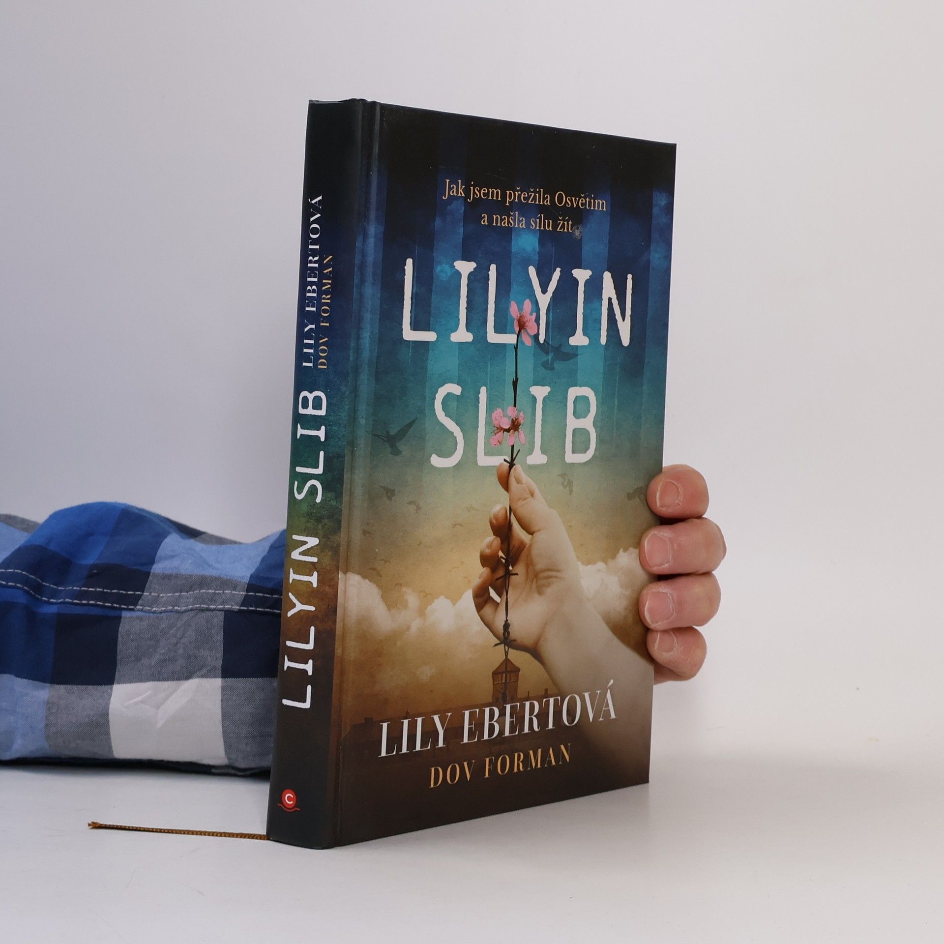 Lily Ebert Lilyin slib