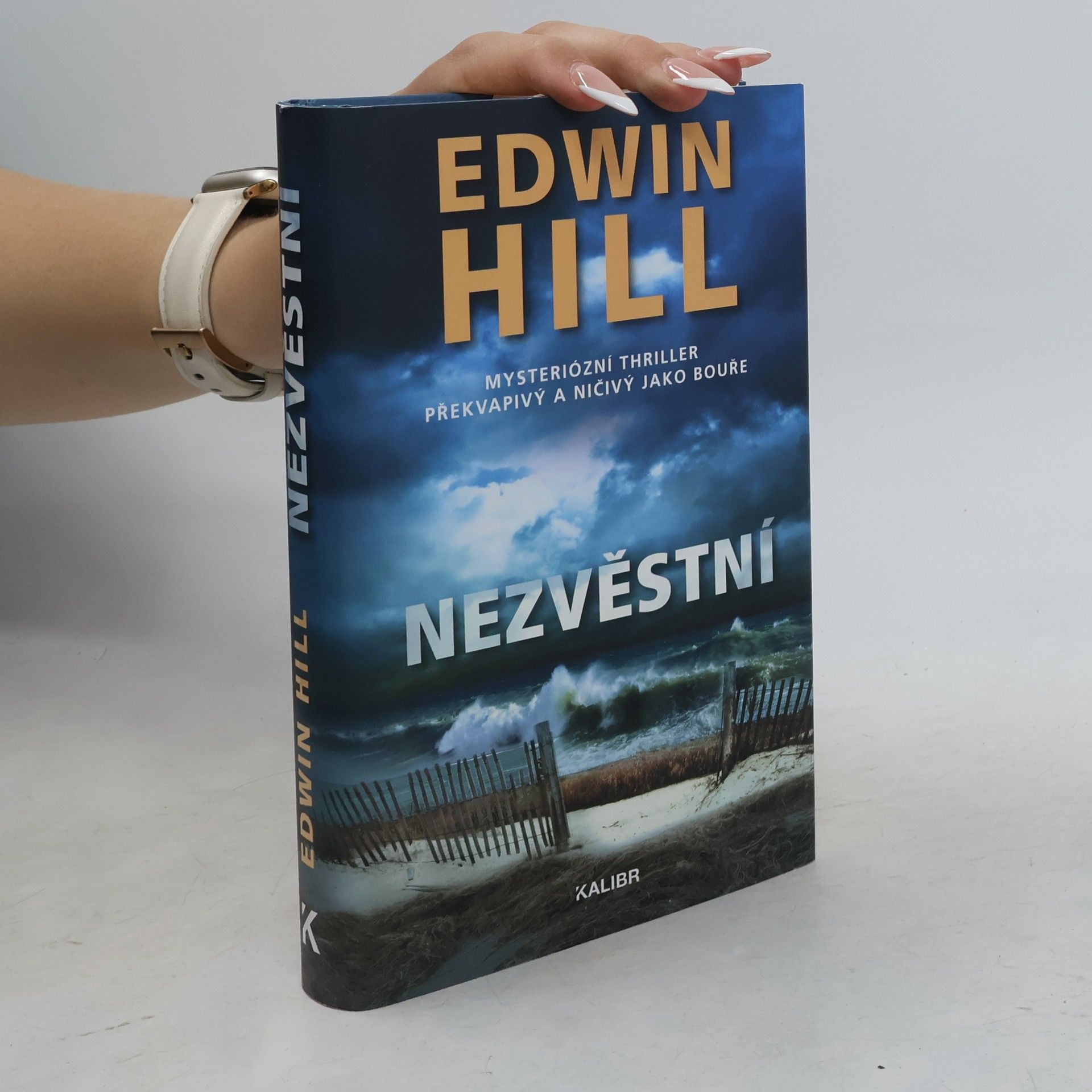 Edwin Hill Nezvěstní