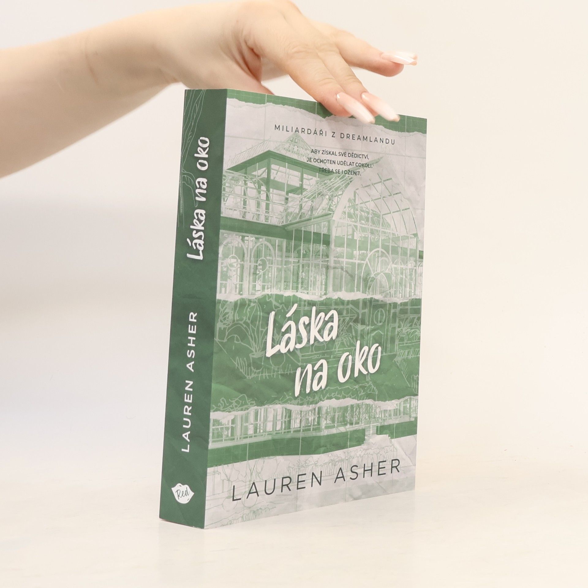 Lauren Asher Láska na oko