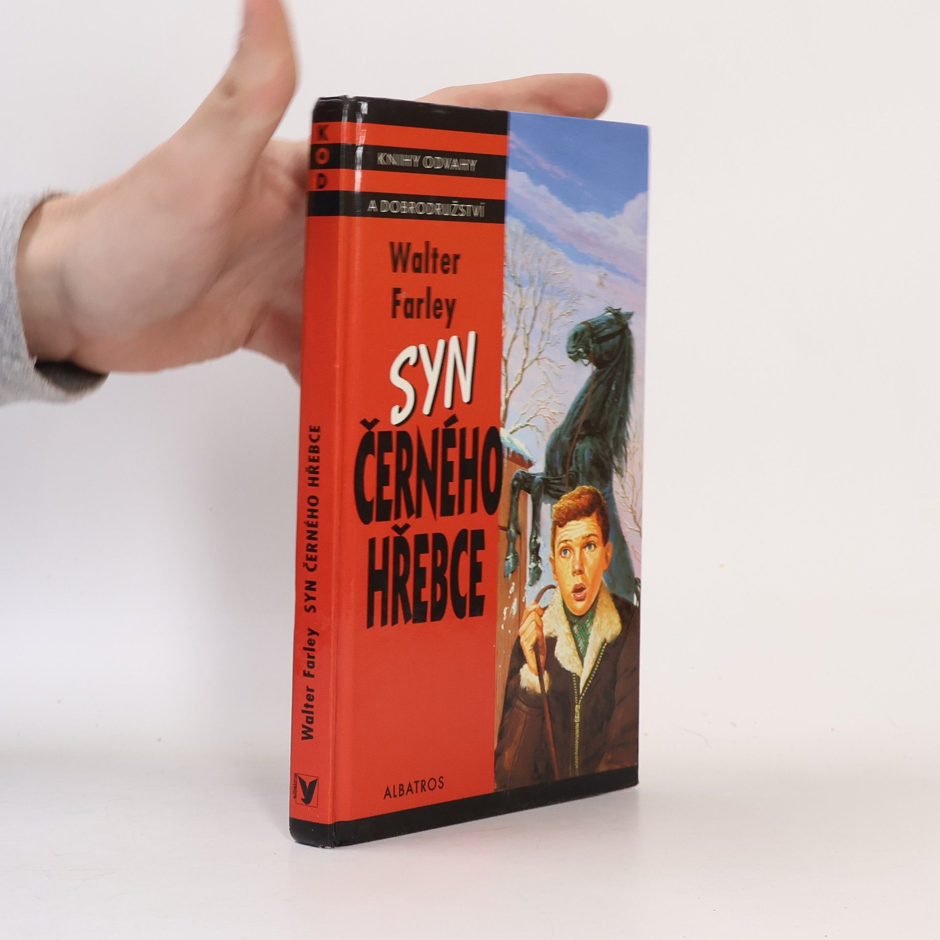 Walter Farley Syn černého hřebce