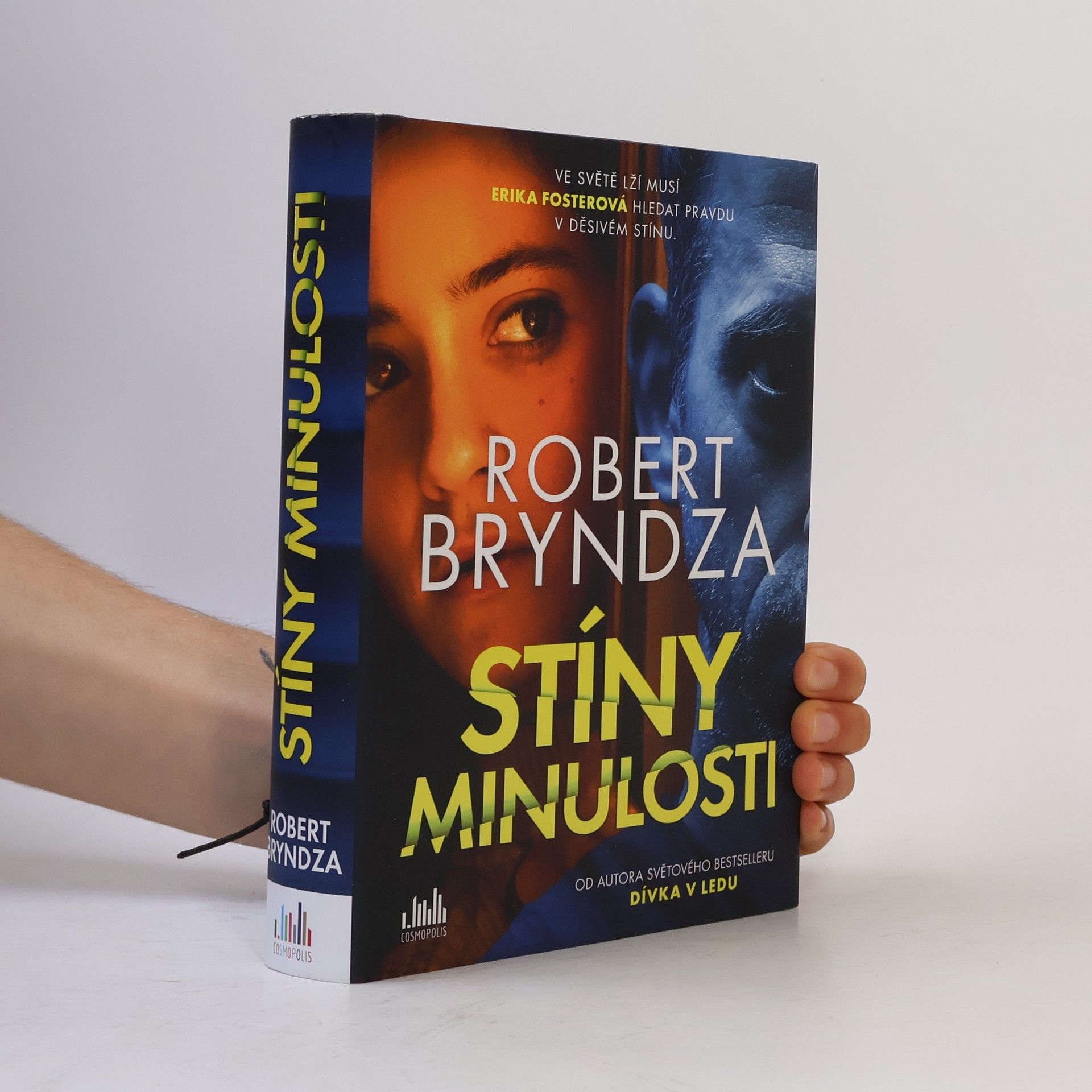 Robert Bryndza Stíny minulosti