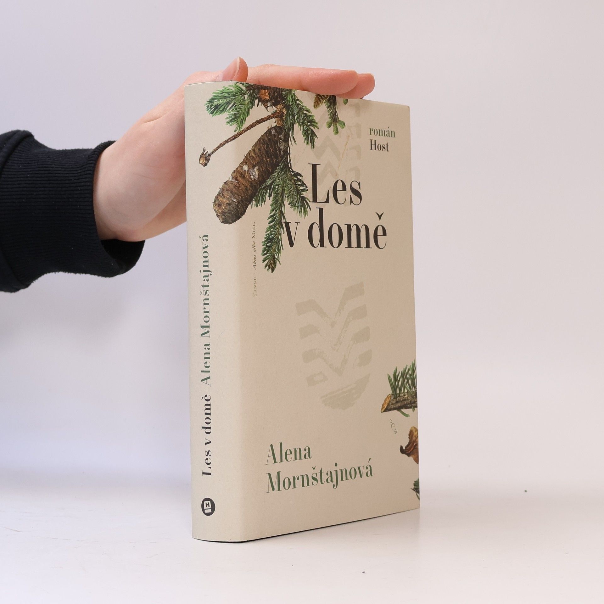Alena Mornštajnová Les v domě