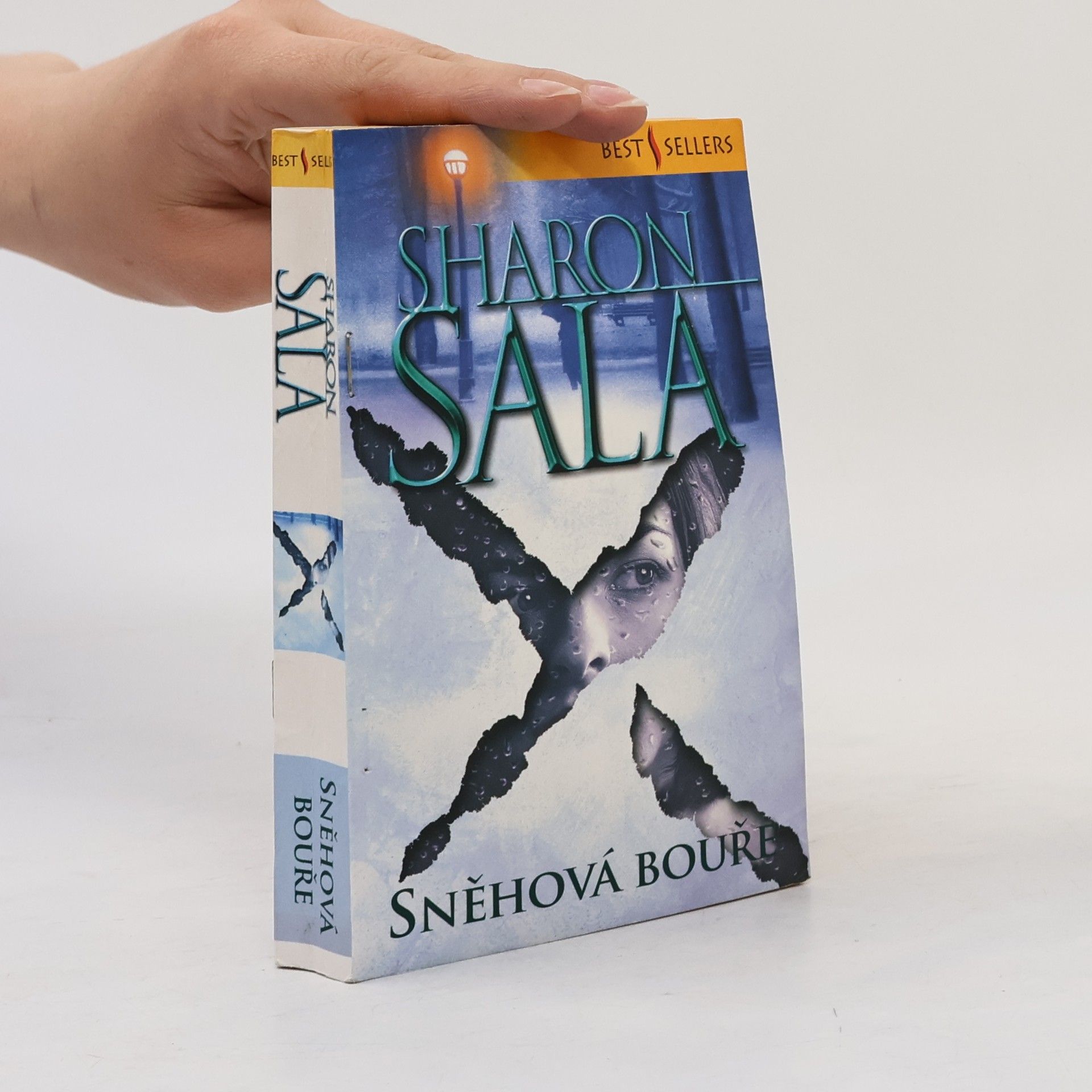 Sharon Sala Sněhová bouře