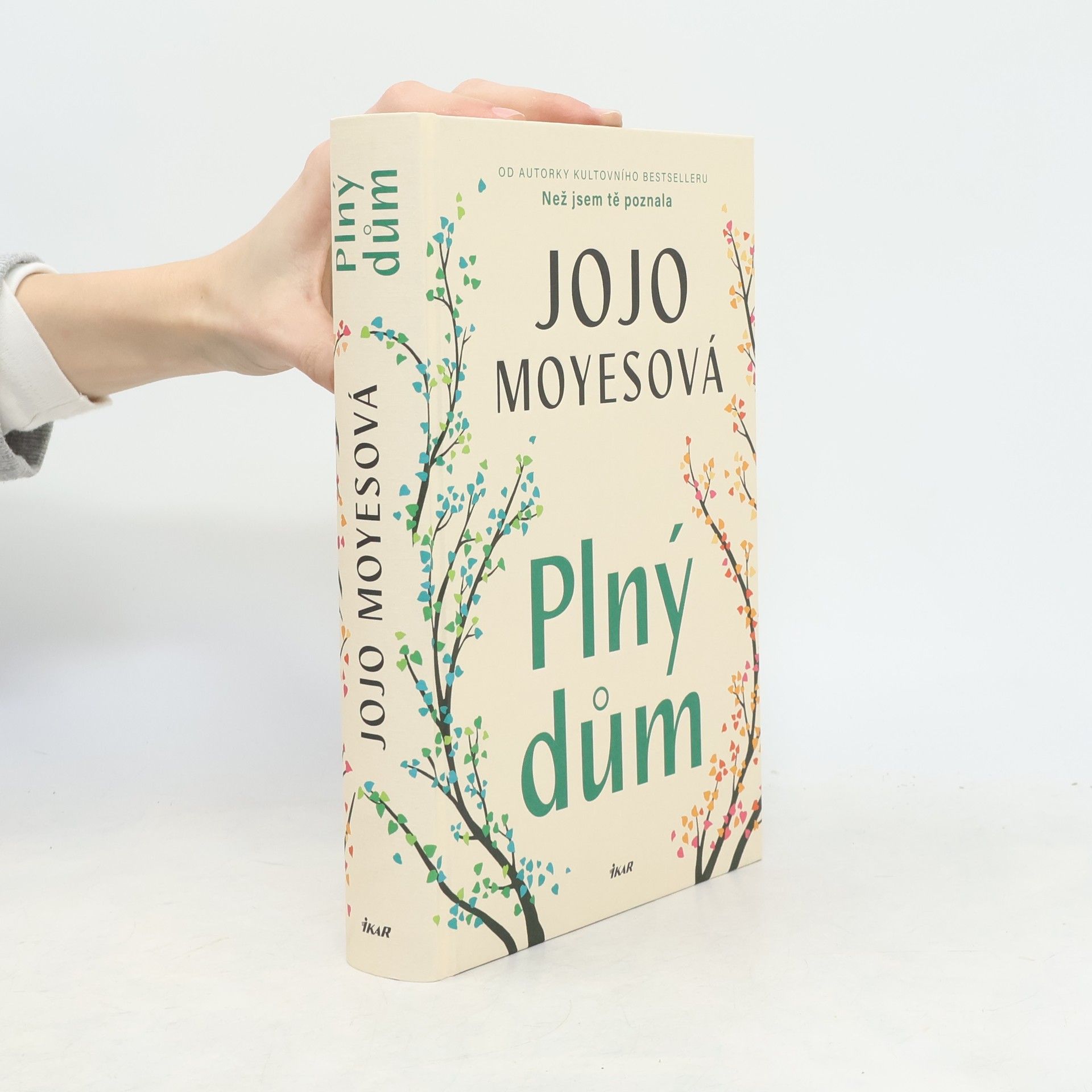 Jojo Moyes Plný dům