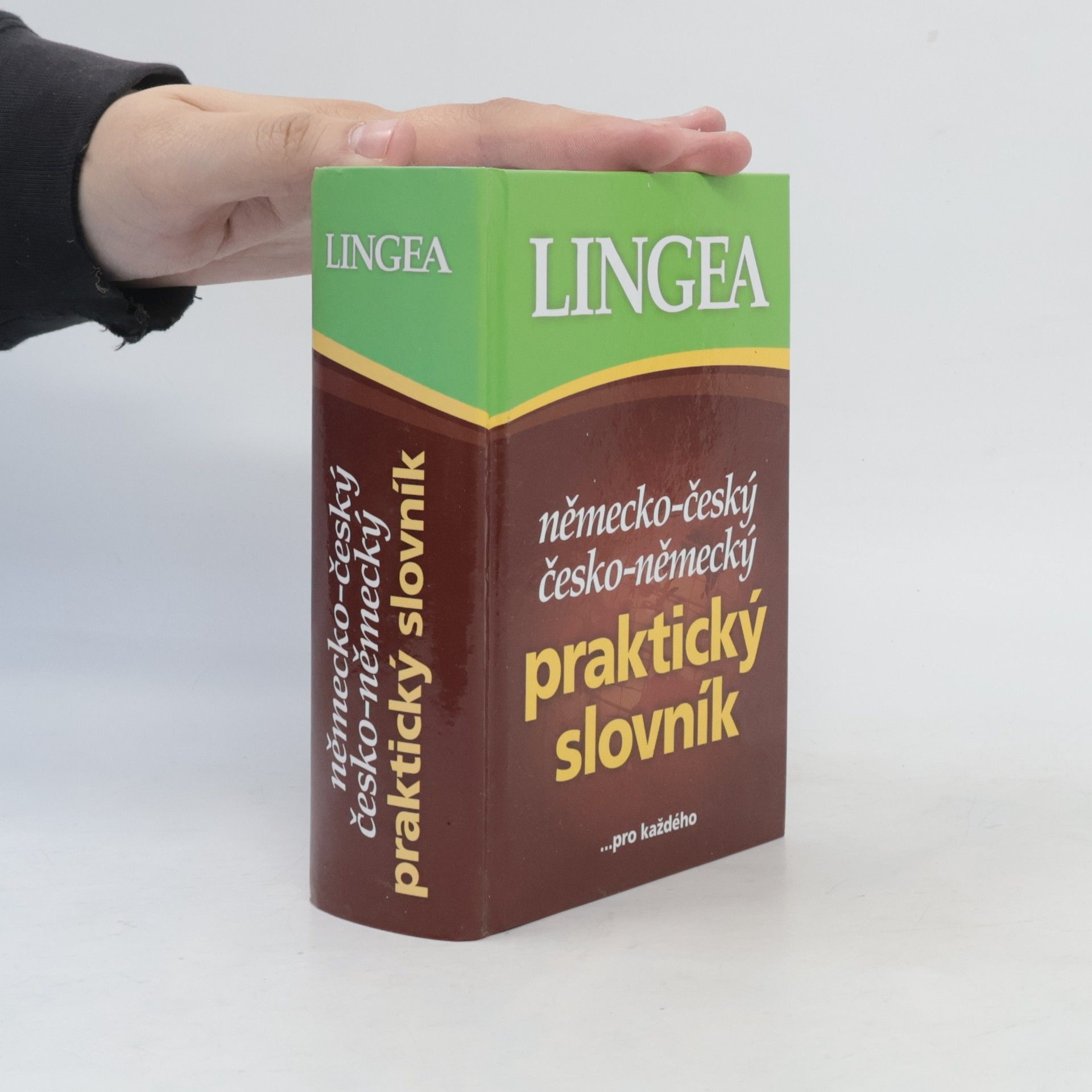 Autorenkollektiv Německo-český, česko-německý praktický slovník