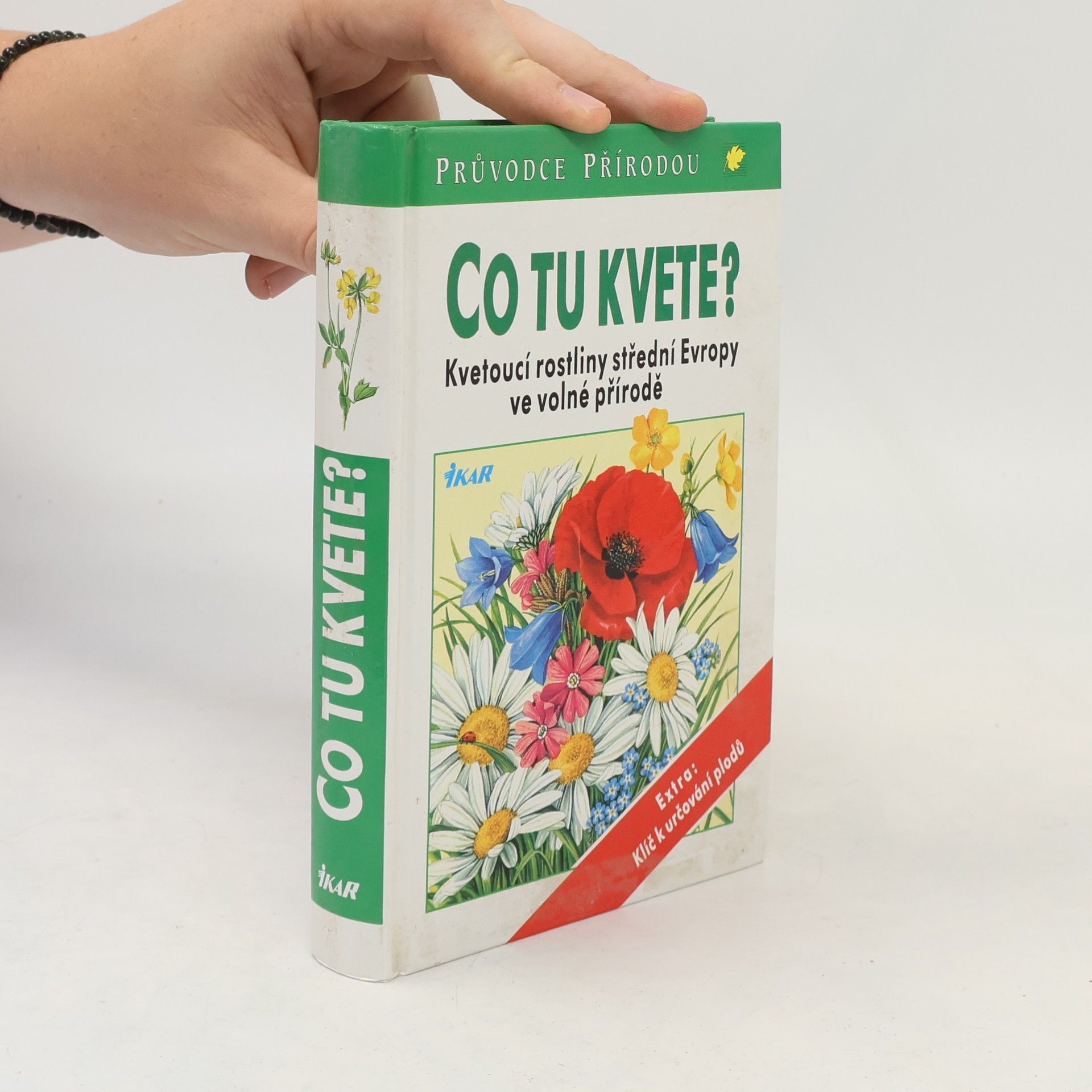 Dietmar Aichele Co tu kvete?