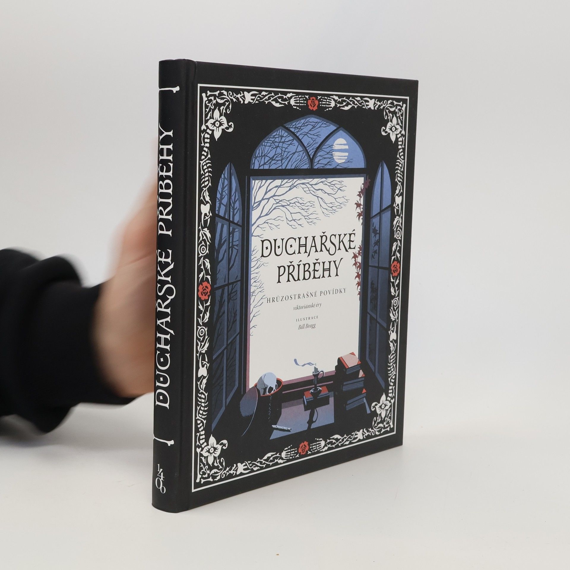 Autorenkollektiv Duchařské příběhy