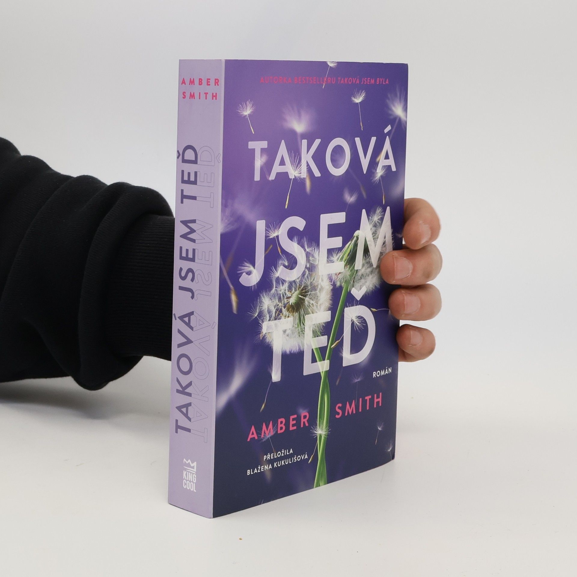 Amber Smith Taková jsem teď