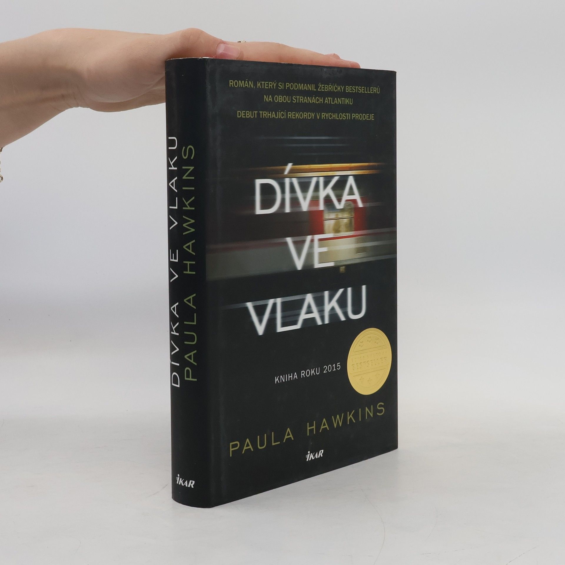 Dívka ve vlaku