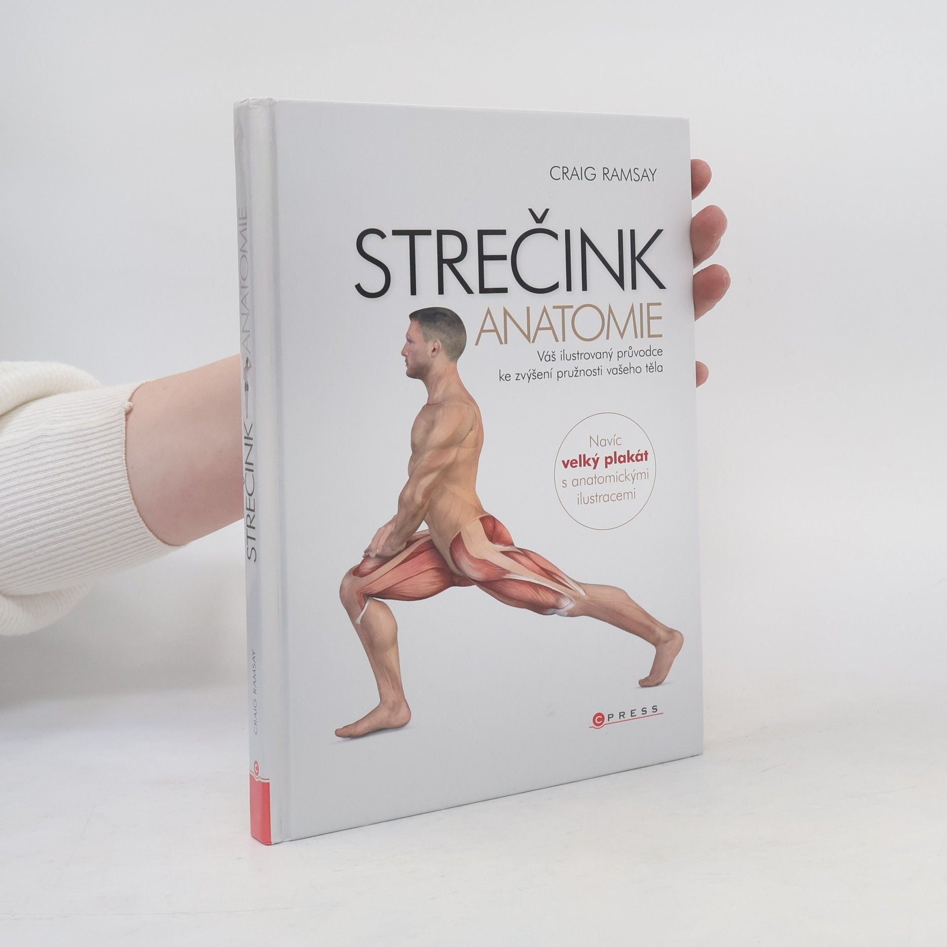Craig Ramsay Strečink - anatomie
