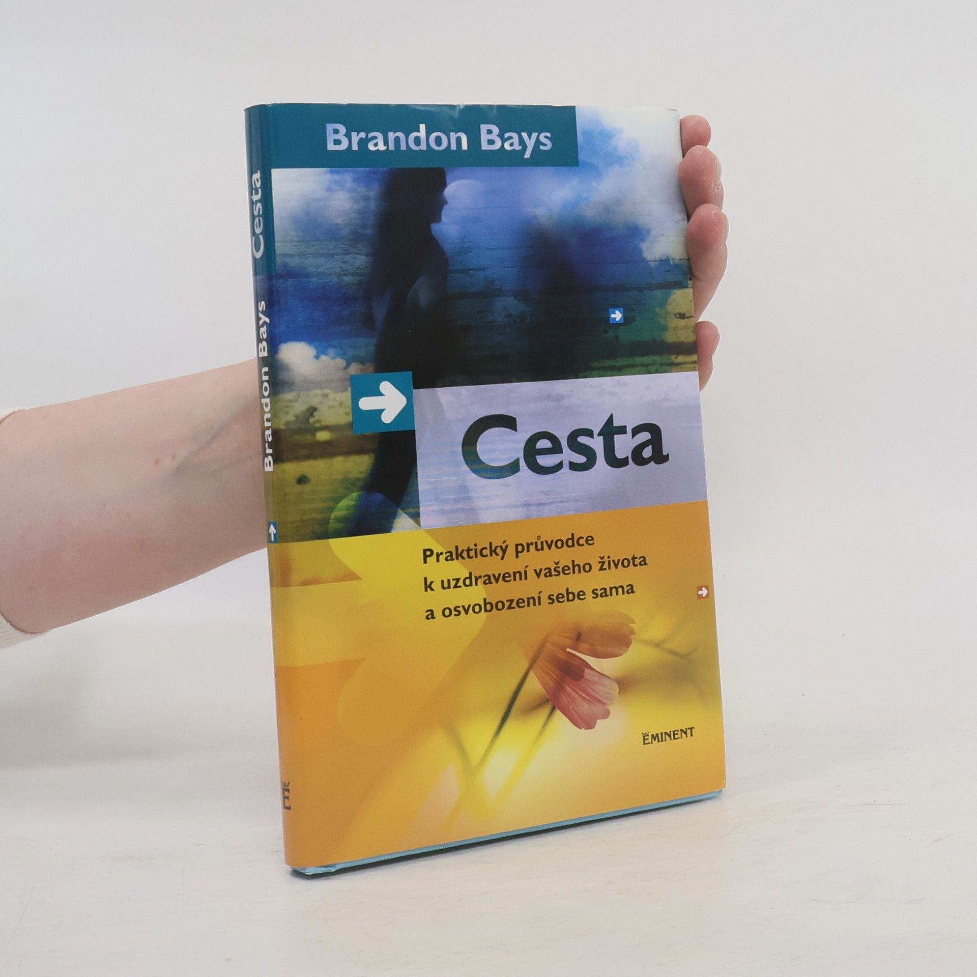Brandon Bays Cesta