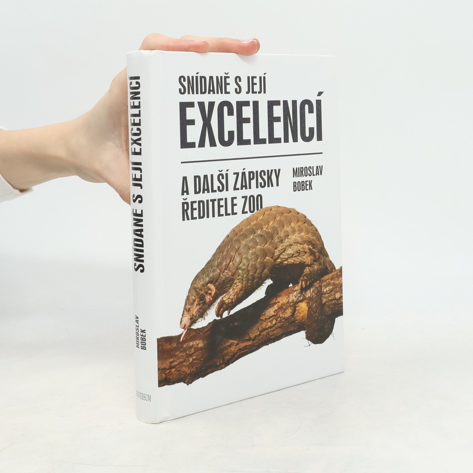 Miroslav Bobek Snídaně s její excelencí