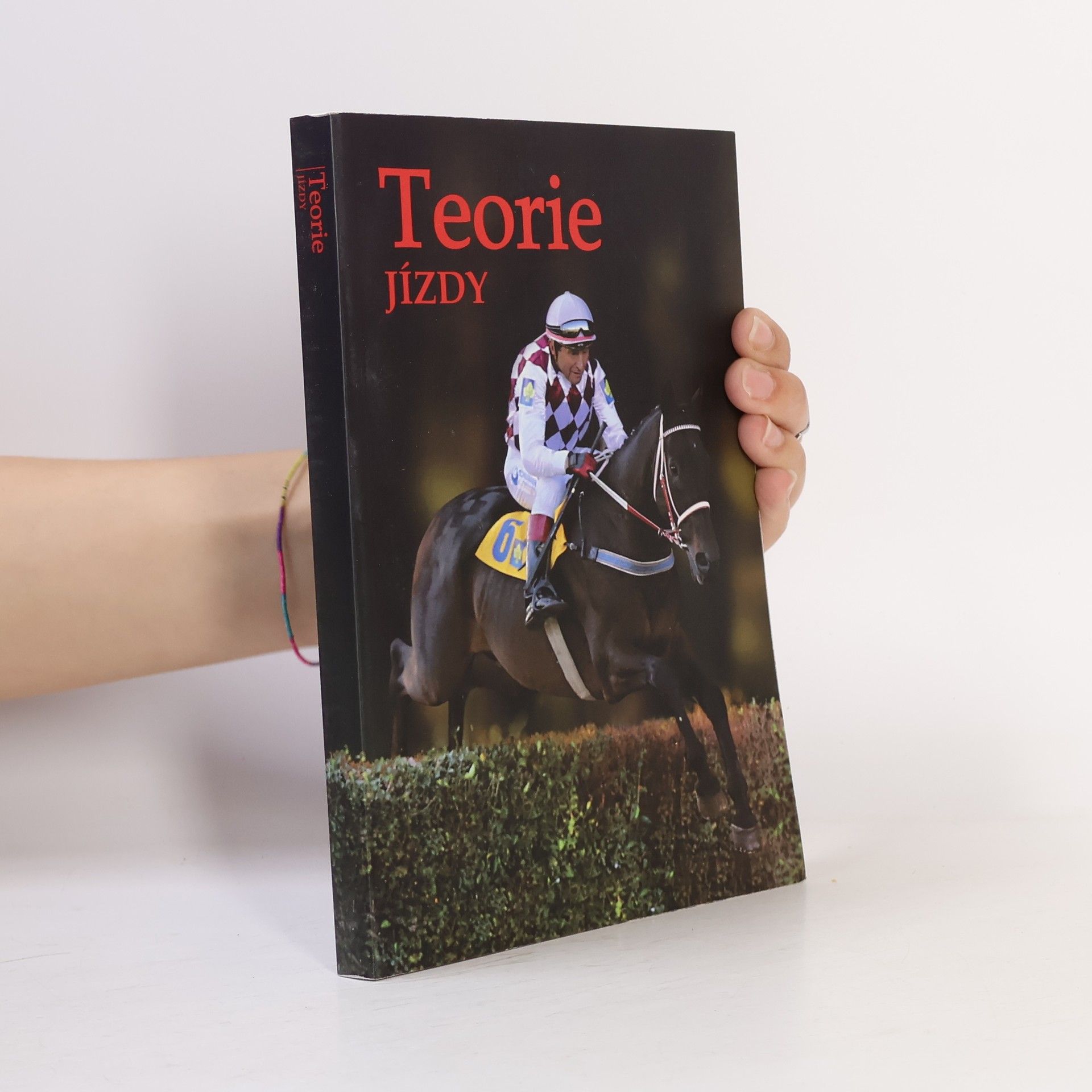 Martina Krejčí Teorie jízdy