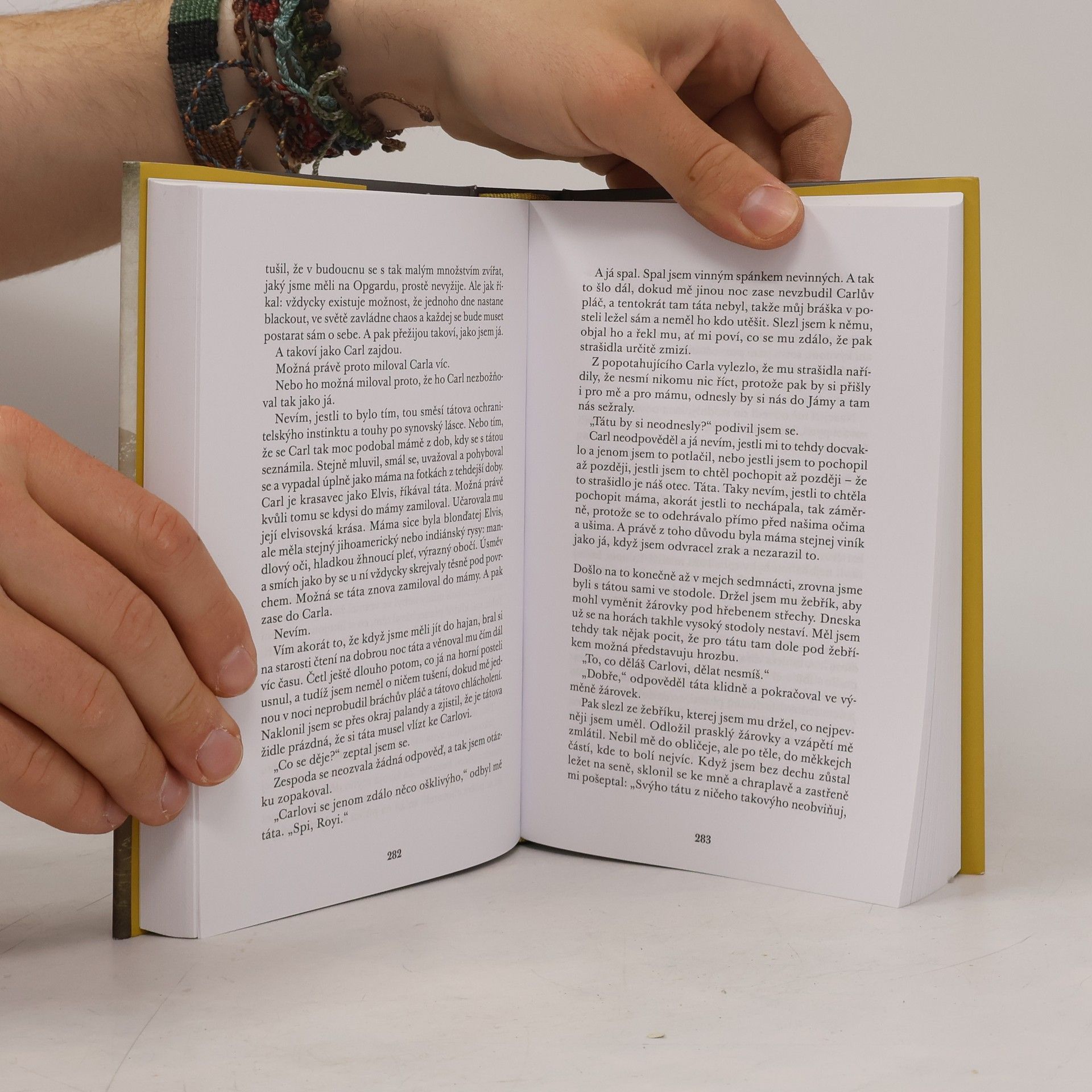 Jo Nesbø Království