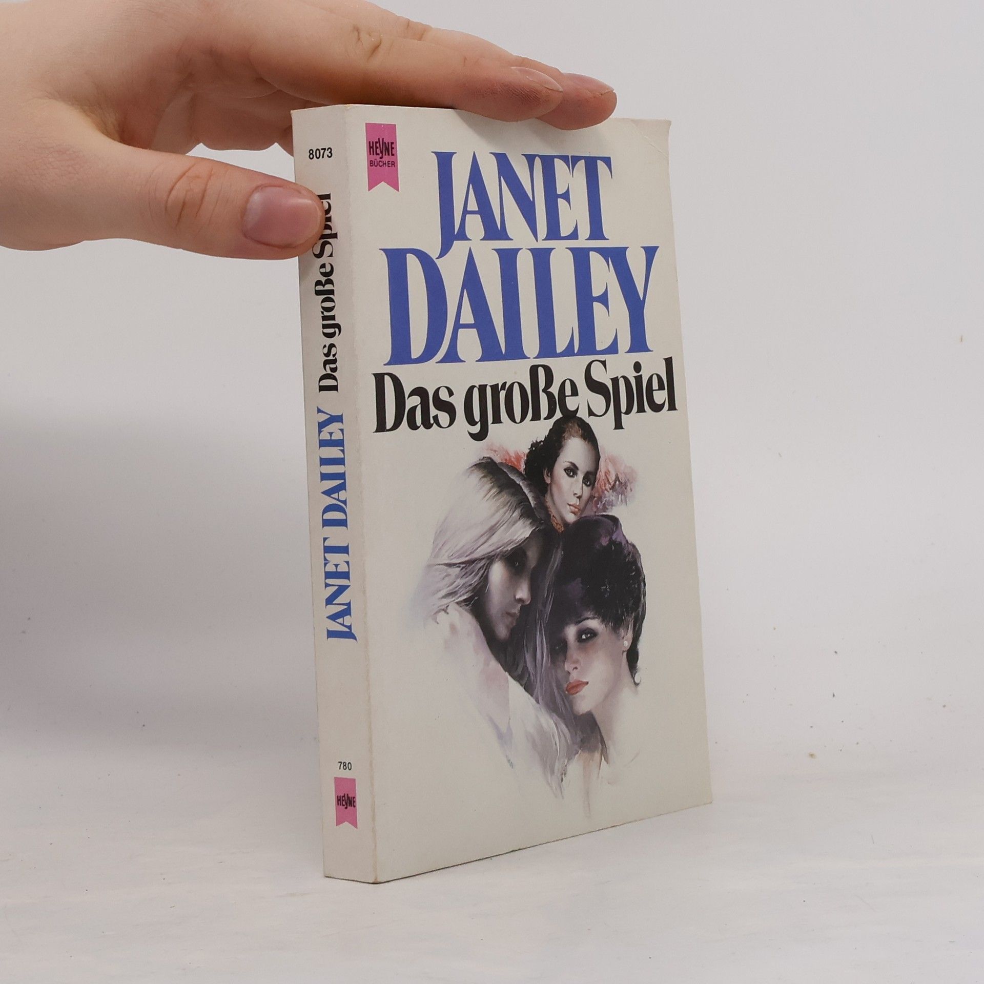 Janet Dailey Das große Spiel