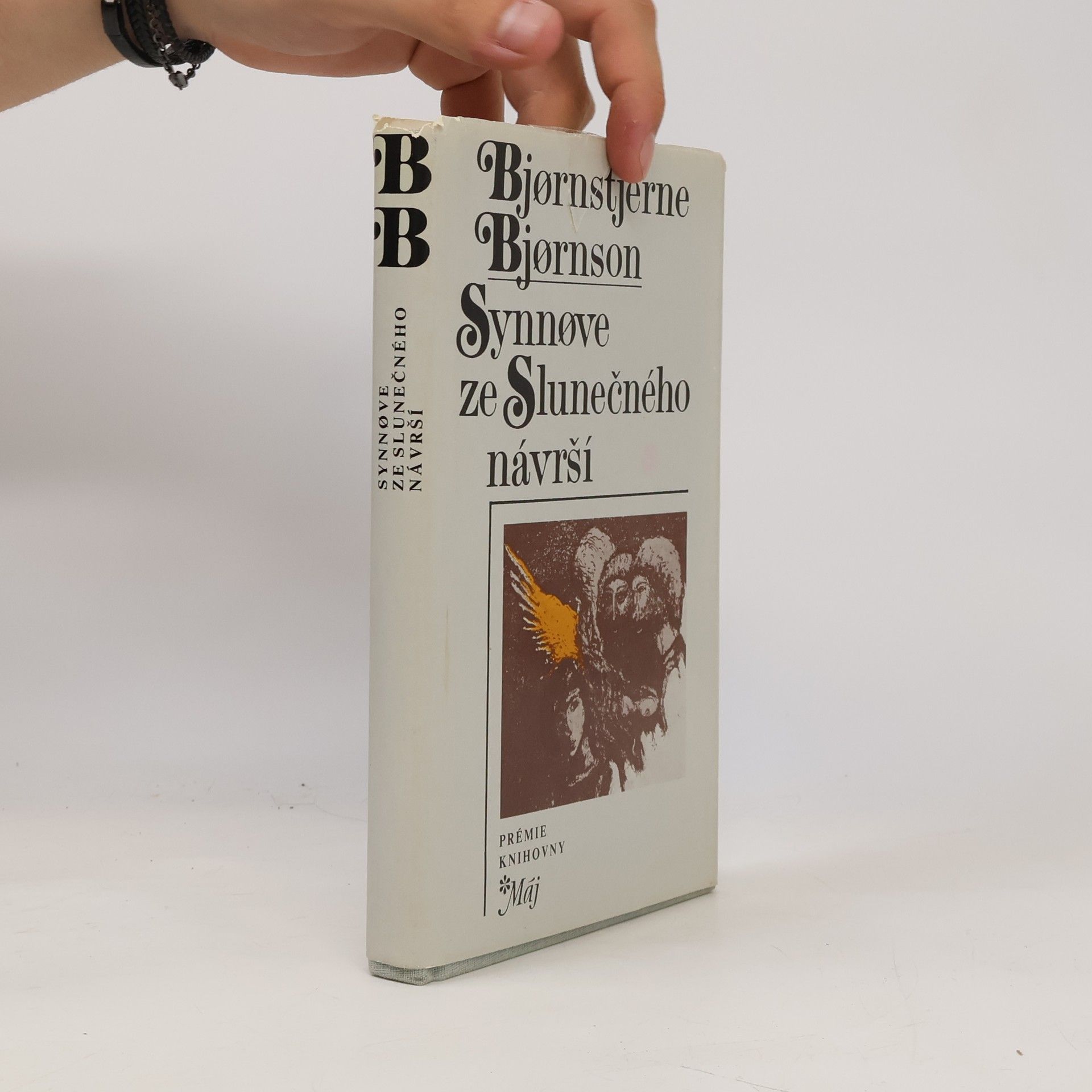 Bjørnstjerne Bjørnson Synnøve ze Slunečného návrší