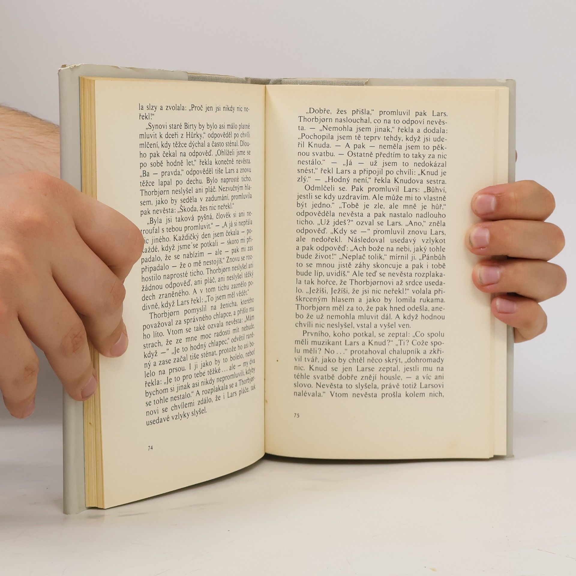 Bjørnstjerne Bjørnson Synnøve ze Slunečného návrší