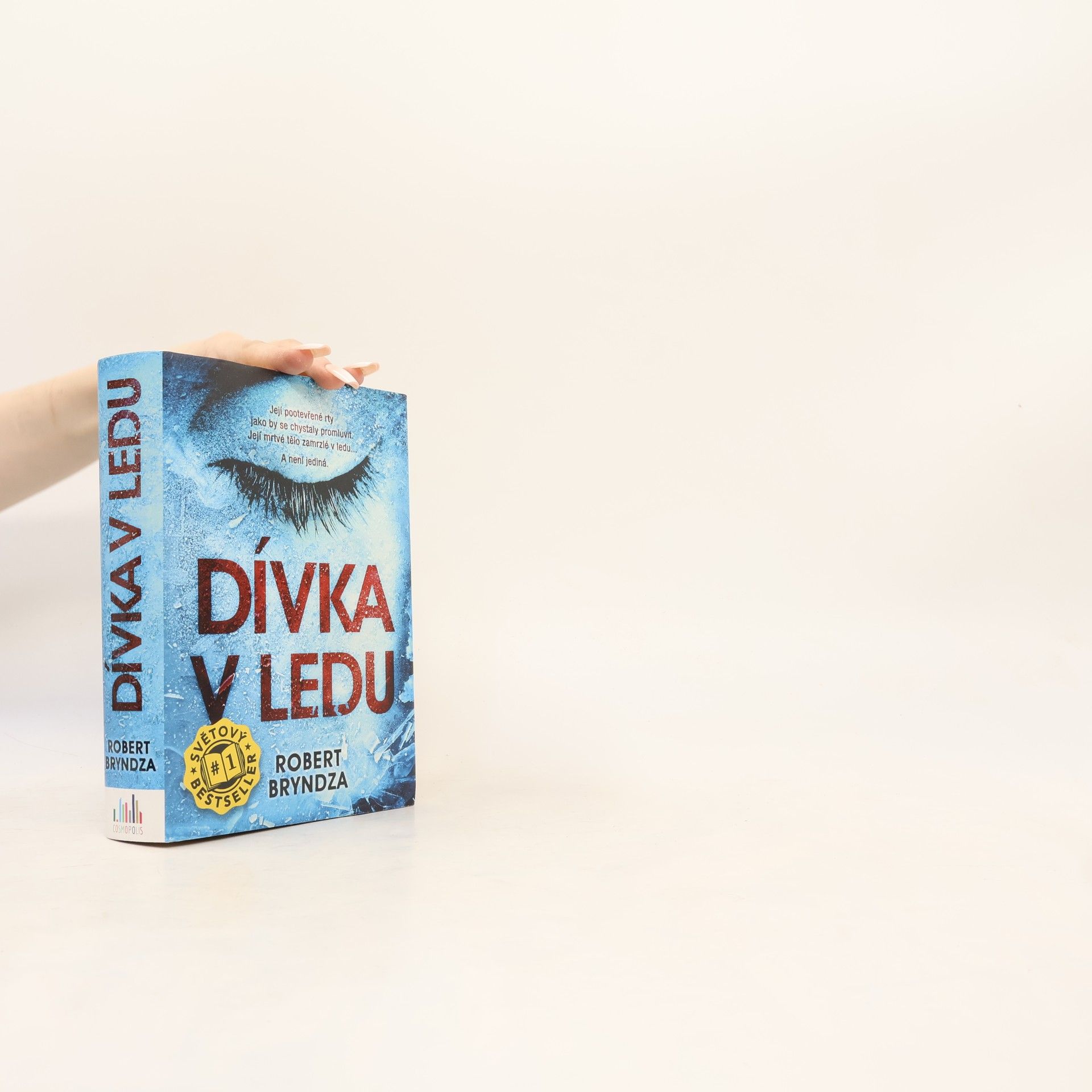 Robert Bryndza Dívka v ledu